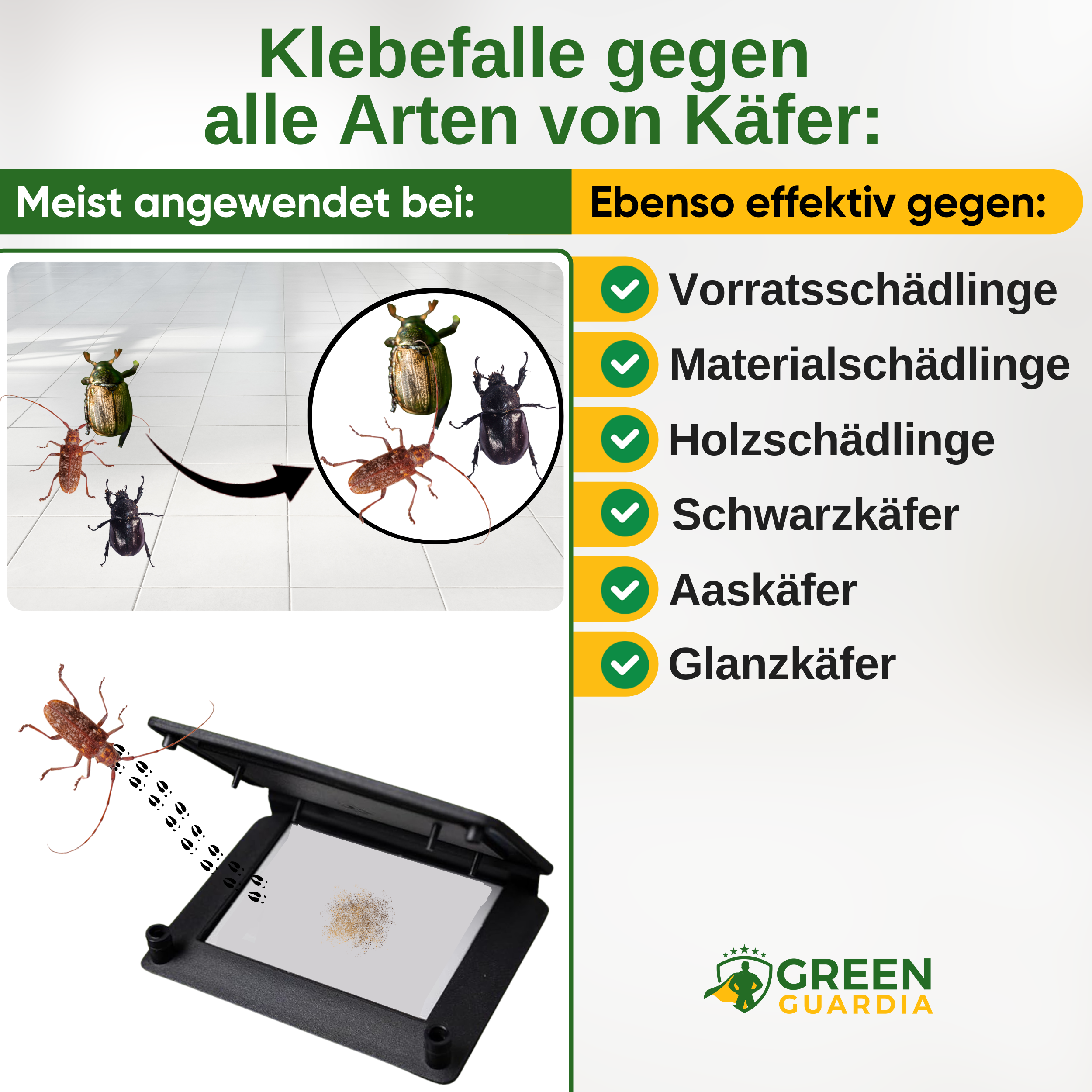 Käfer Falle mit Pheromon-Lockstoff