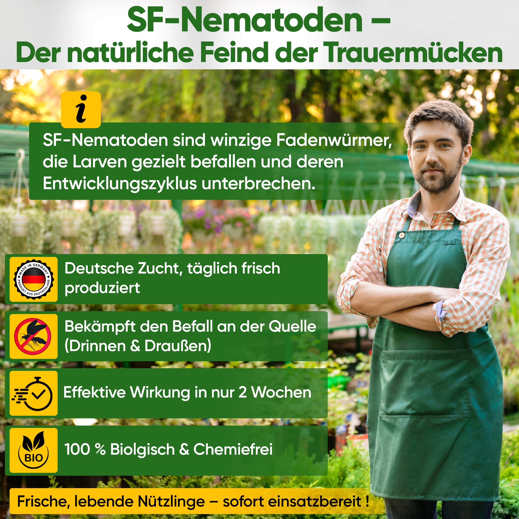 SF-Nematoden gegen Trauermücken, Apfelwickler & Ameisen