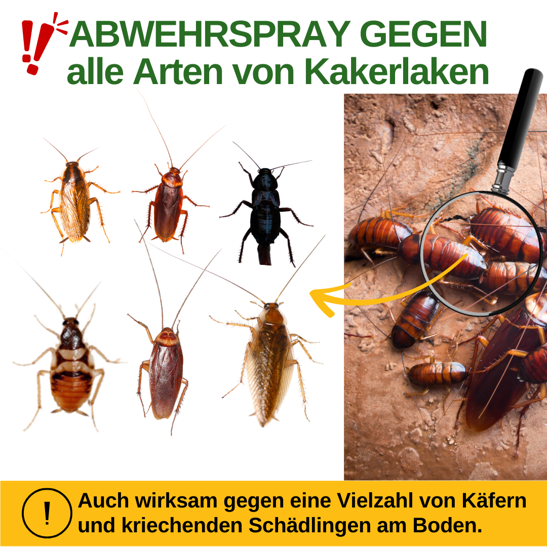 Kakerlaken / Schaben-Abwehrspray Power-Konzentrat