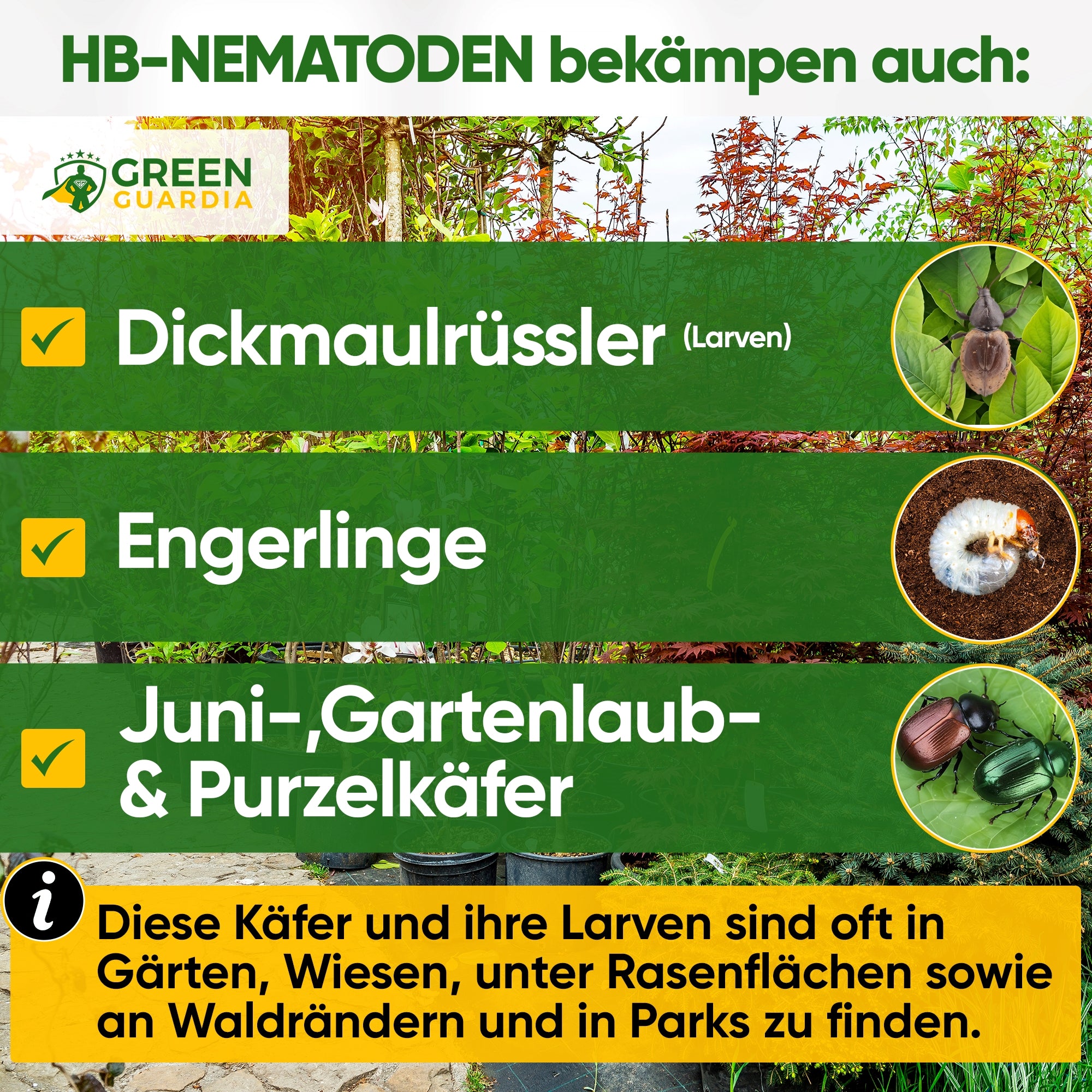 HB-Nematoden gegen Dickmaulrüssler & Engerlinge