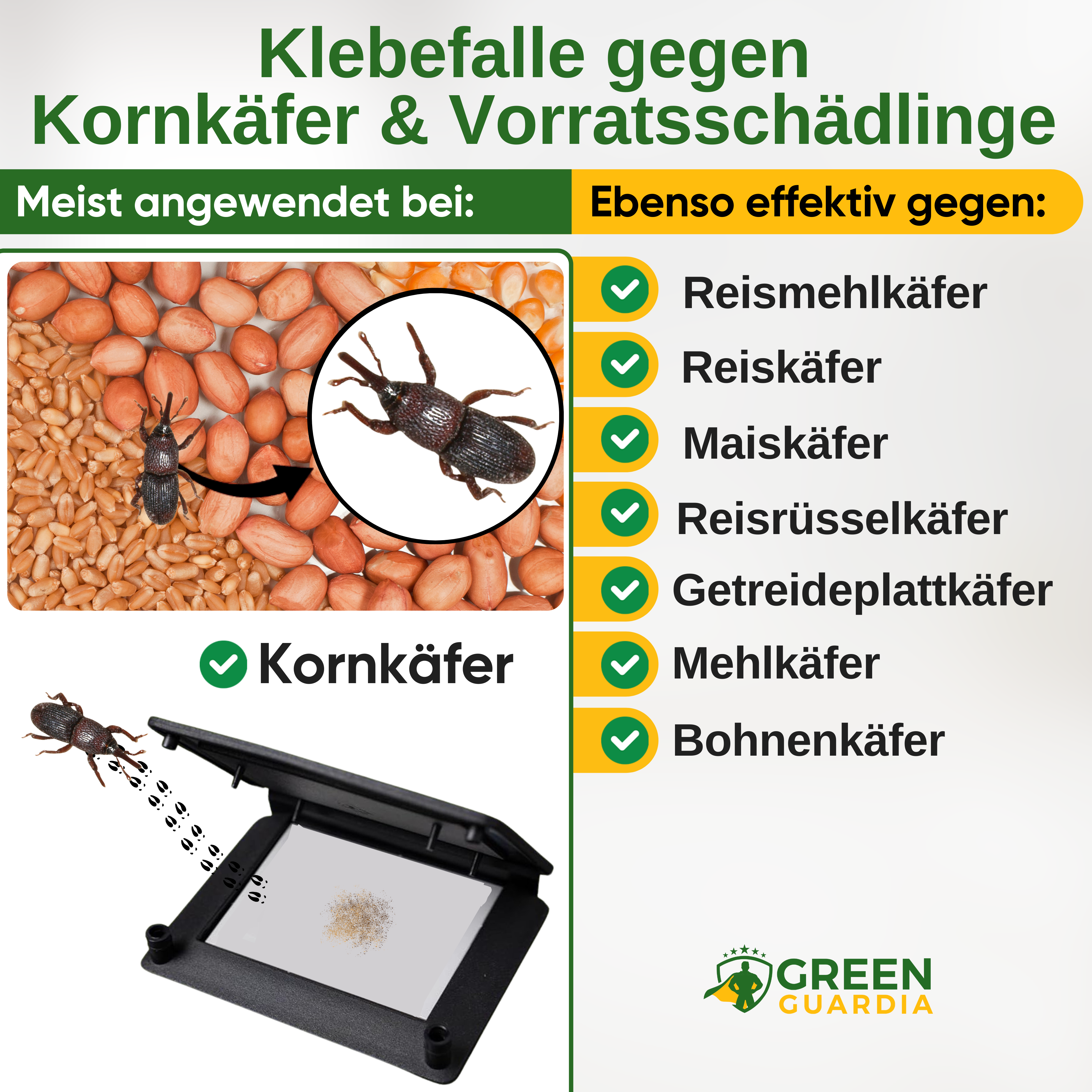 Kornkäfer Falle mit Pheromon-Lockstoff