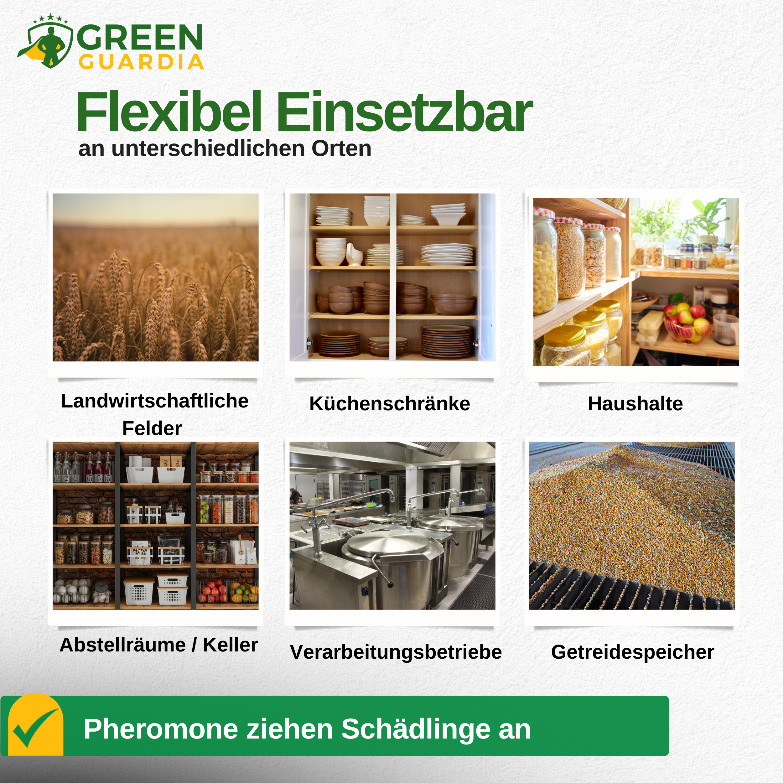 Käfer Falle mit Pheromon-Lockstoff