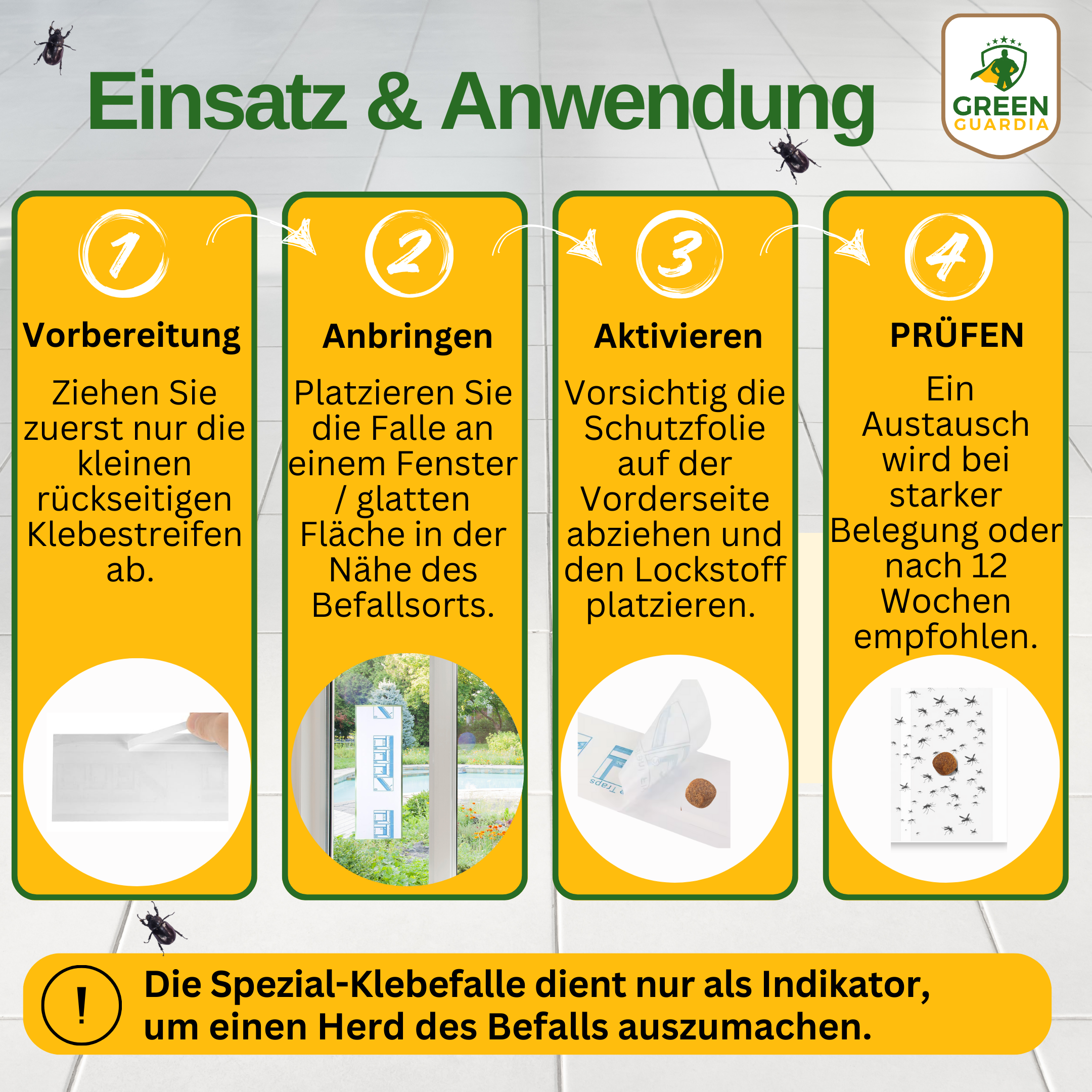 Fungus gnat window trap with special attractant