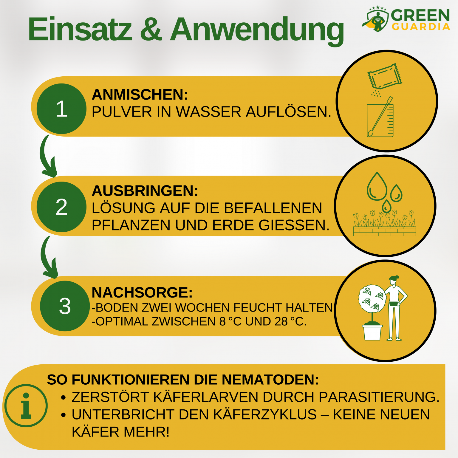 SC-Nematoden gegen gegen Maulwurfsgrillen, Wiesenschnaken und Erdraupen