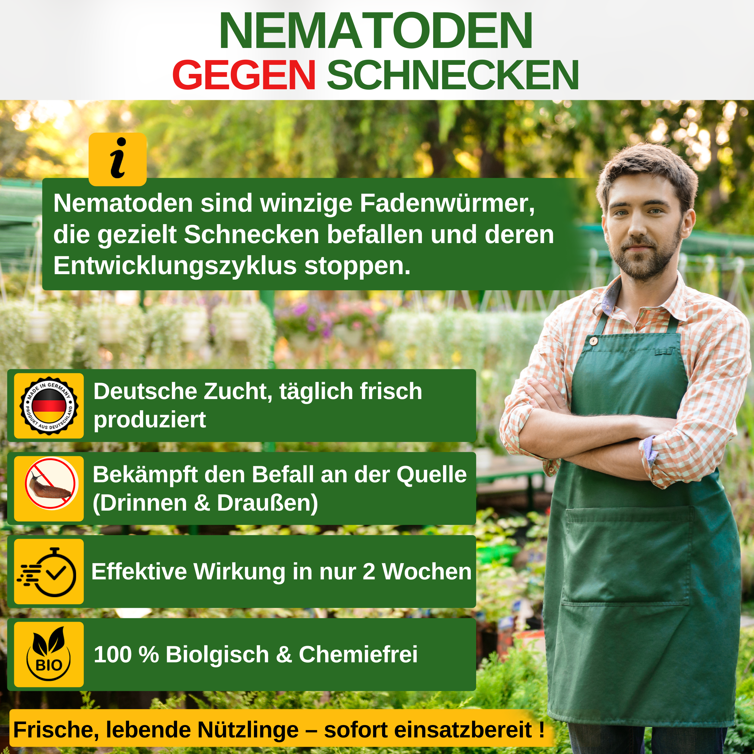 Nematodes against all types of snails