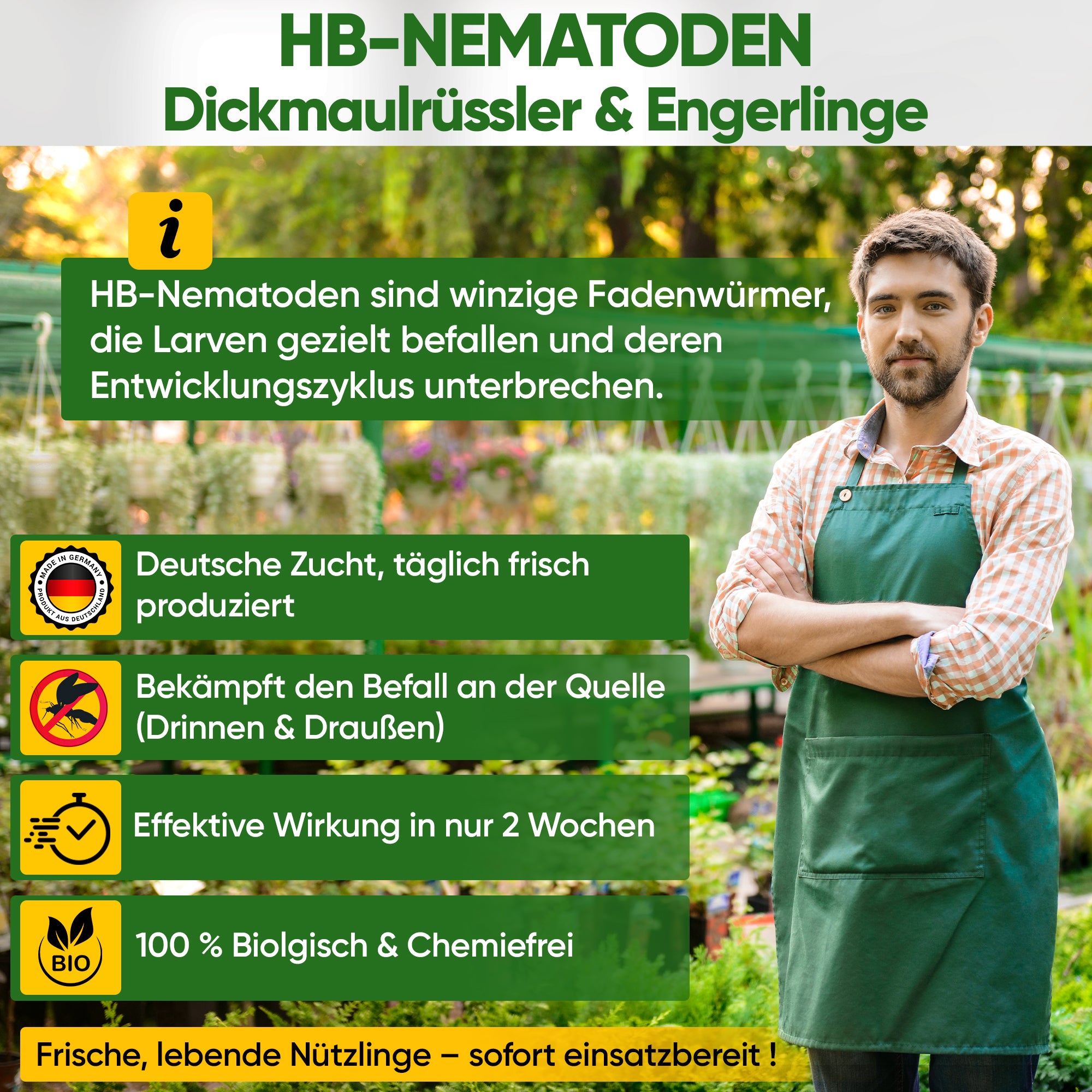 HB-Nematoden gegen Dickmaulrüssler & Engerlinge