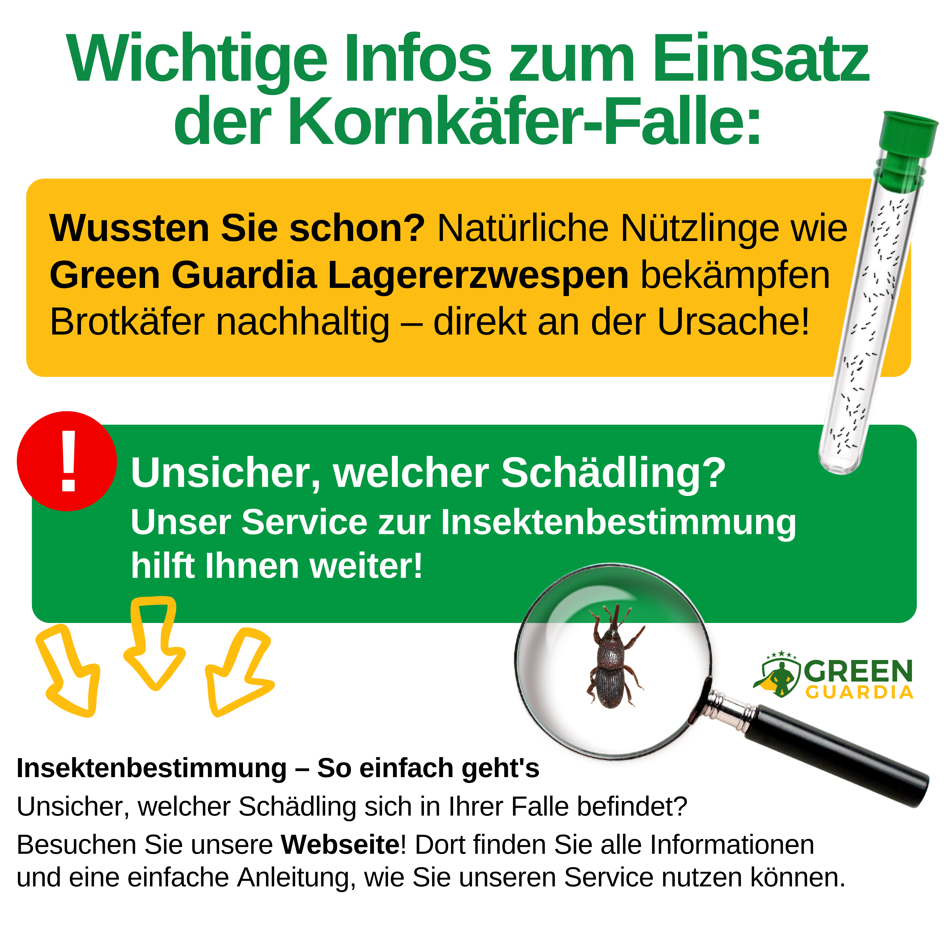 Kornkäfer Falle mit Pheromon-Lockstoff