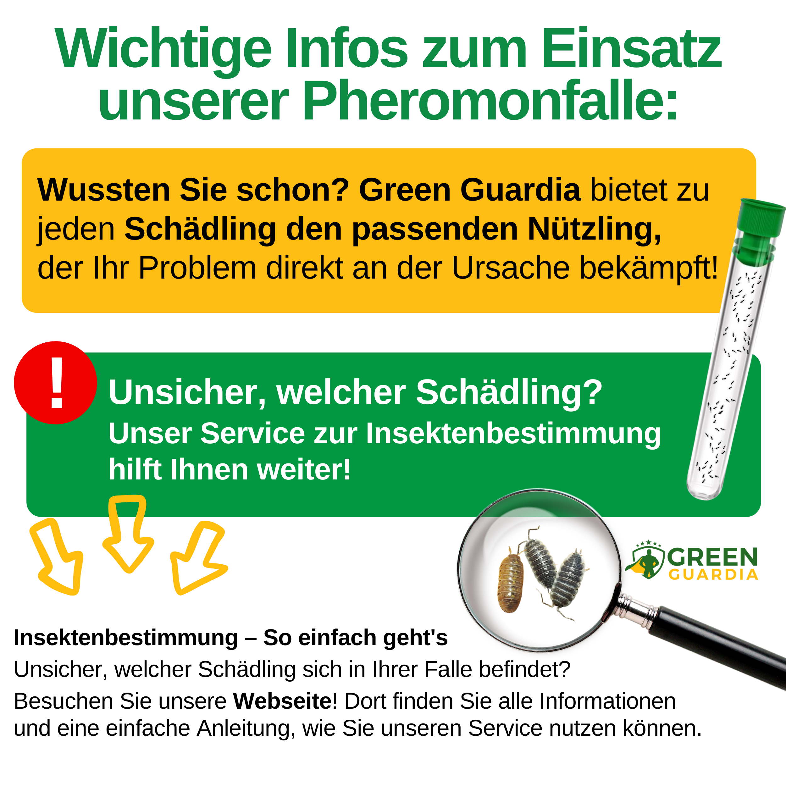 Kellerasseln Falle mit Pheromon-Lockstoff