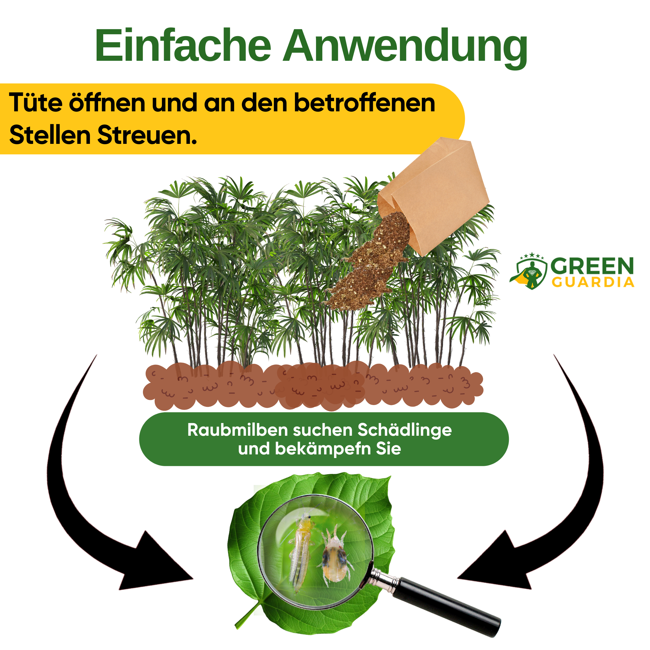 Raubmilben gegen Thripse – Streuware