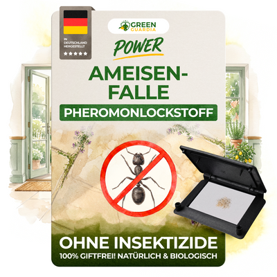 Ameisen Falle