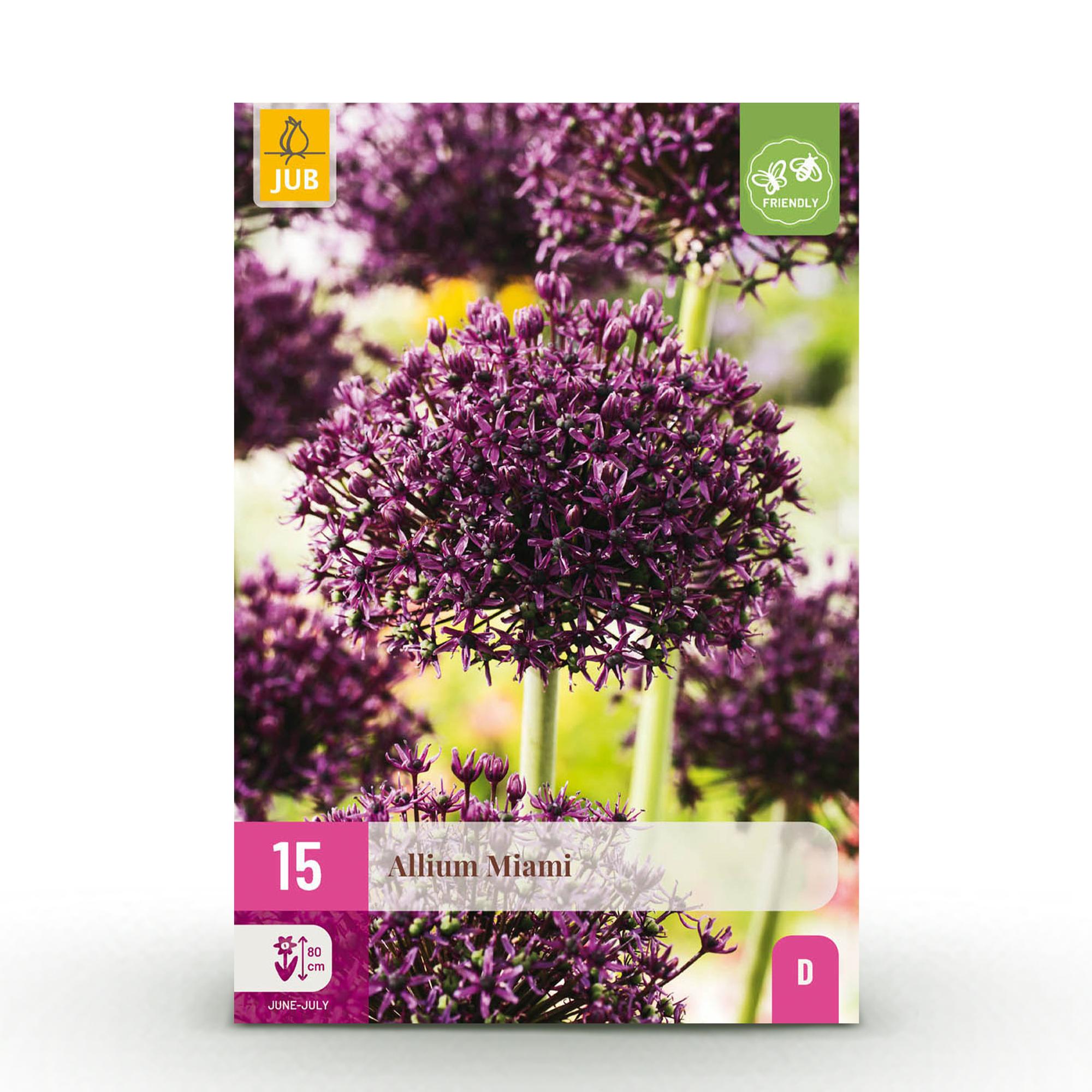 Blumenzwiebeln – Allium ‘Miami’ – winterhart & mehrjährig – lila – 15 Stück – Zwiebelgröße 10/11 – XXL Pack - Green Guardia - Ihr Experte für Schädlinge und Pflanzen