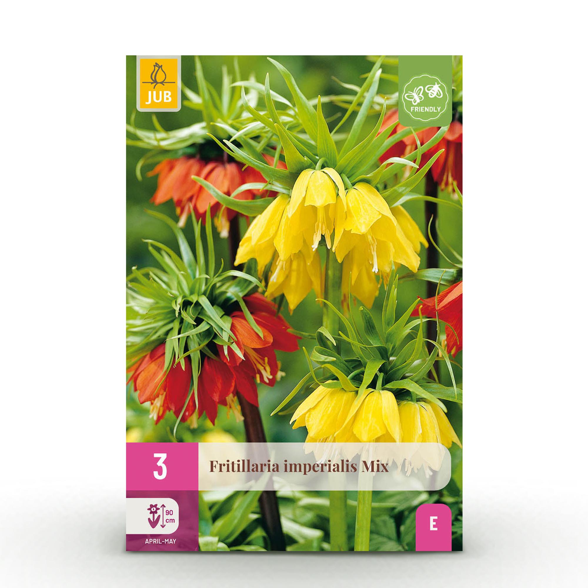 Blumenzwiebeln – Fritillaria imperialis Mix – winterhart & mehrjährig – gelb & orange – 3 Stück – Zwiebelgröße 18/20 – XXL Pack - Green Guardia - Ihr Experte für Schädlinge und Pflanzen