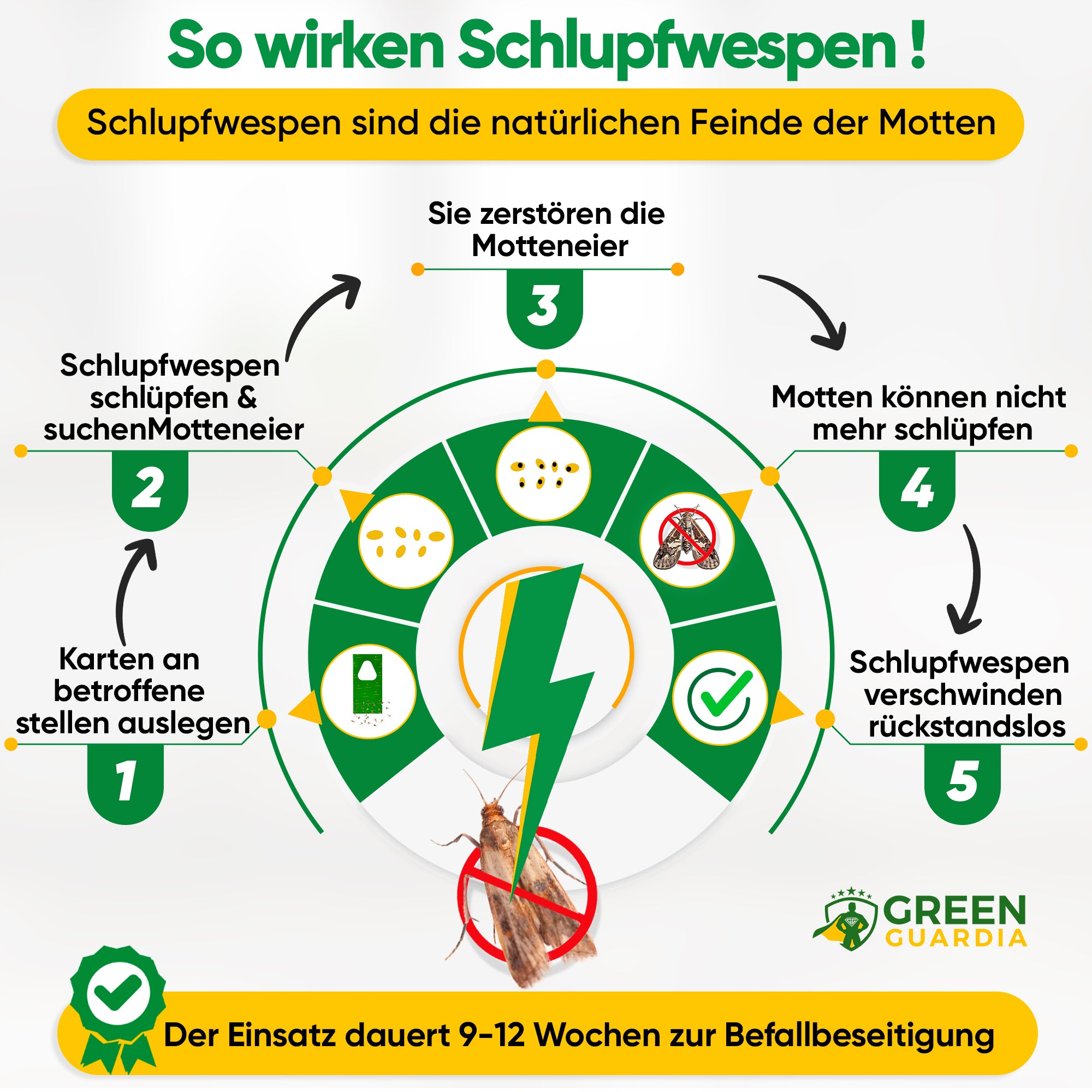 Schlupfwespen gegen Kleidermotten