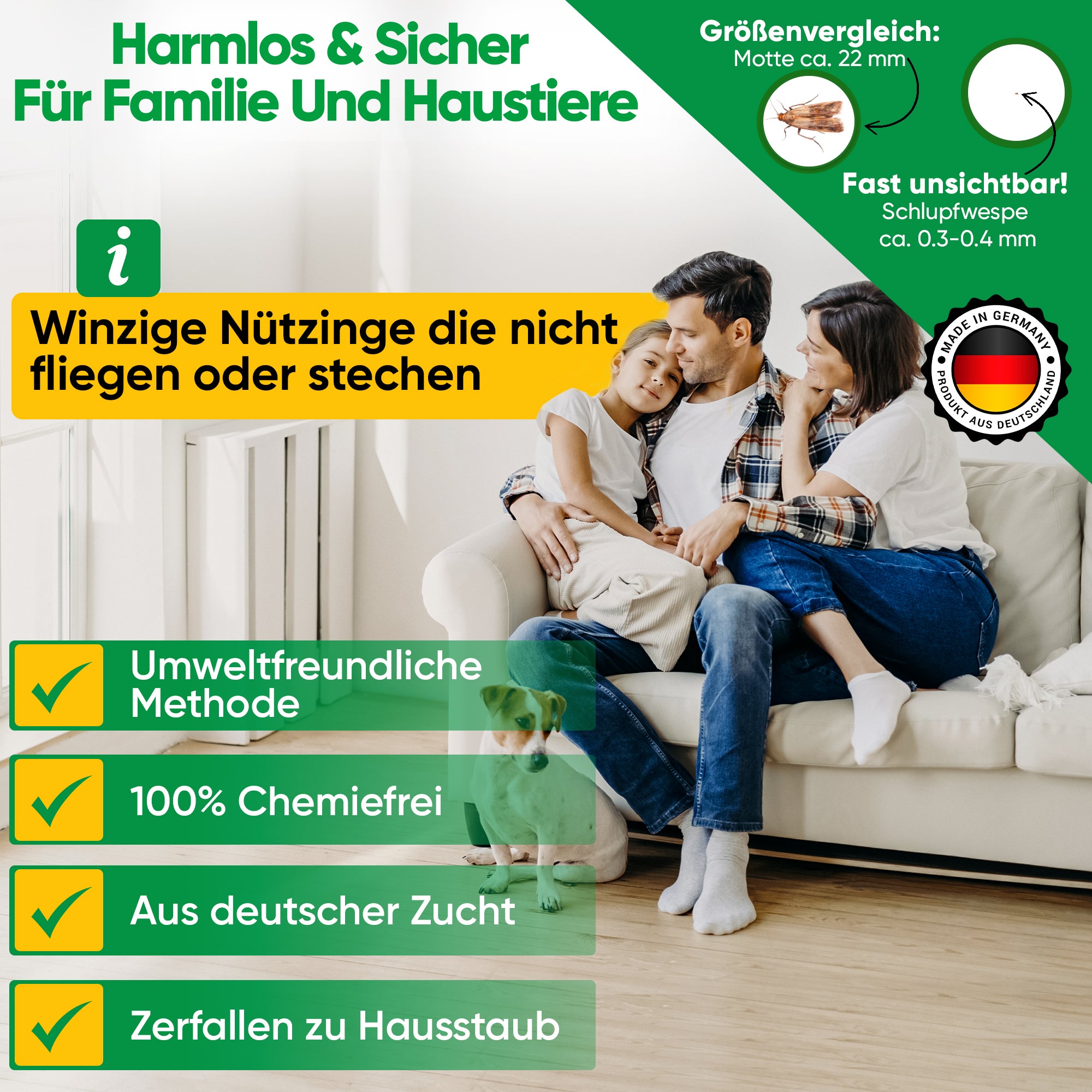 Schlupfwespen gegen Kleidermotten