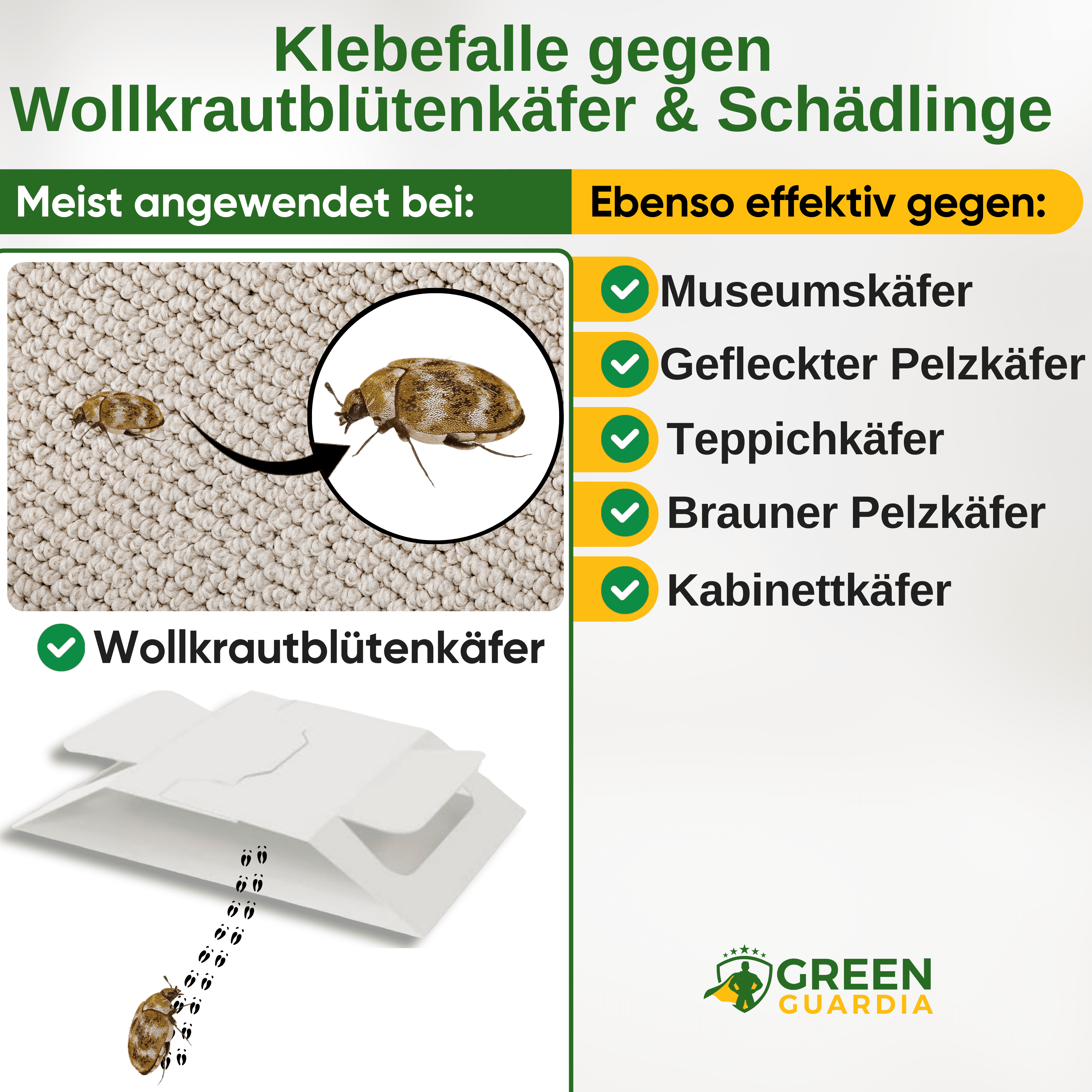 Wollkrautblütenkäfer Falle mit Spezial - Lockstoff - Green Guardia - Ihr Experte für Schädlinge und Pflanzen