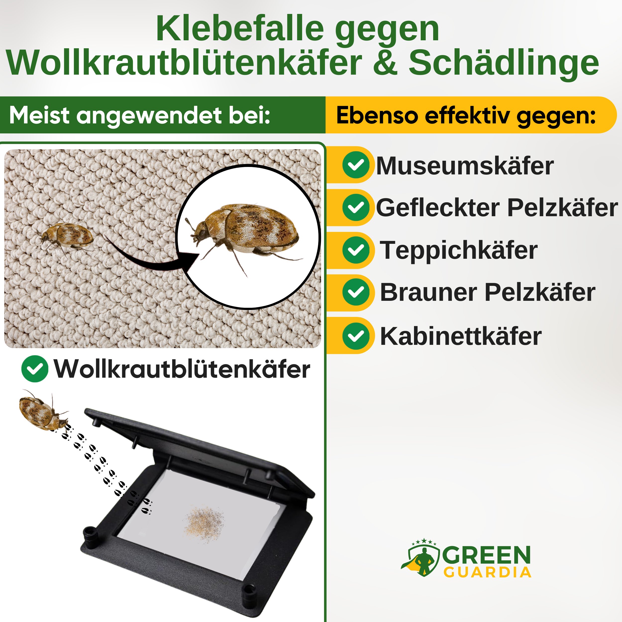 Wollkrautblütenkäfer Falle mit Pheromon-Lockstoff