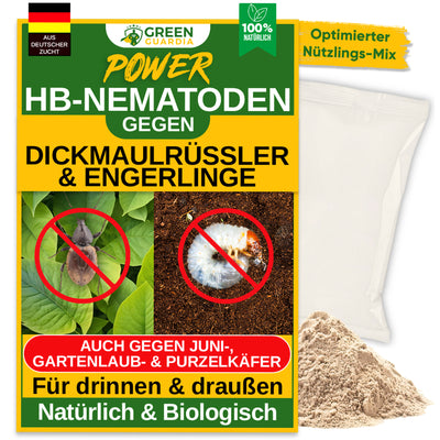 HB nematodes against black vine weevils and grubs 