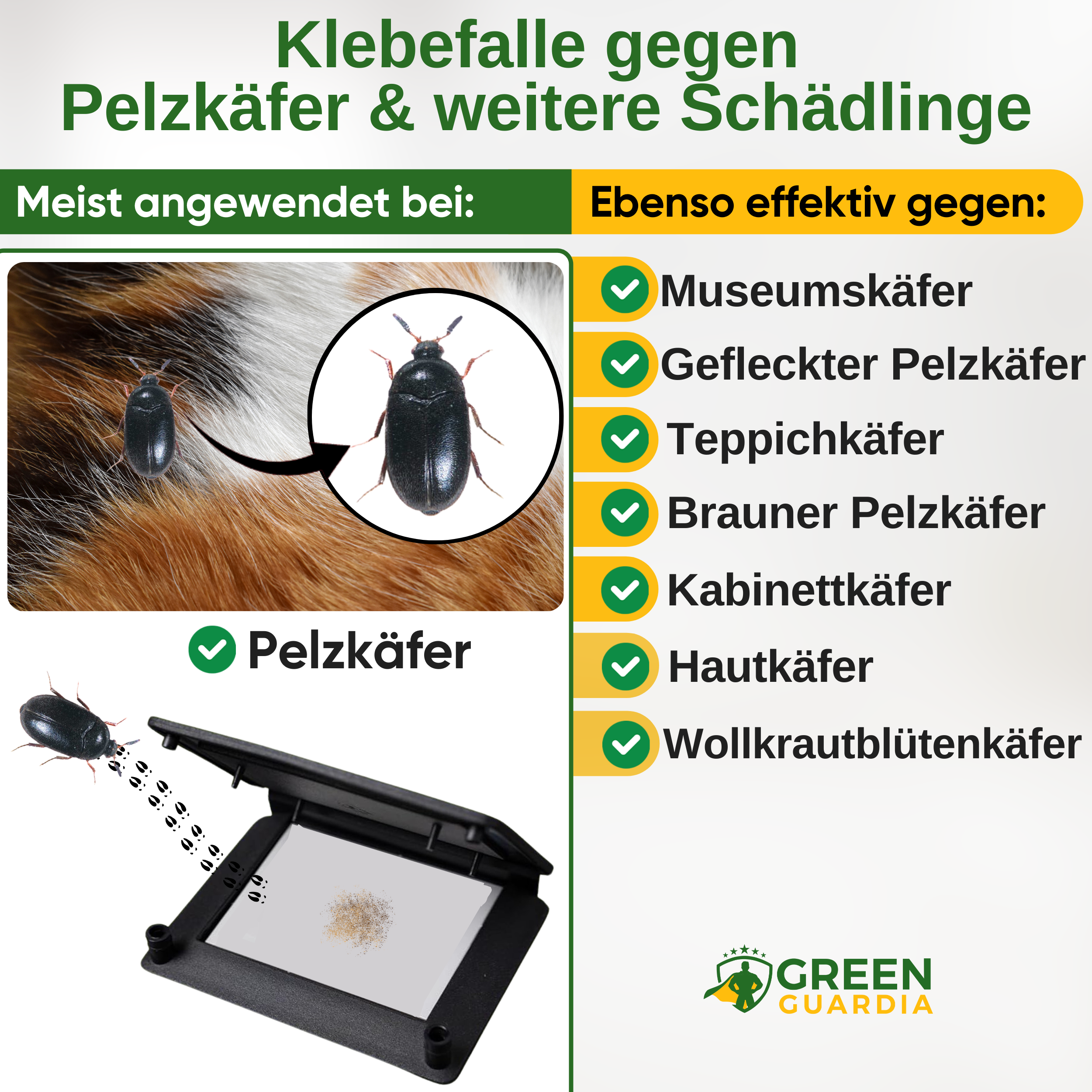 Pelzkäfer Falle mit Pheromon-Lockstoff