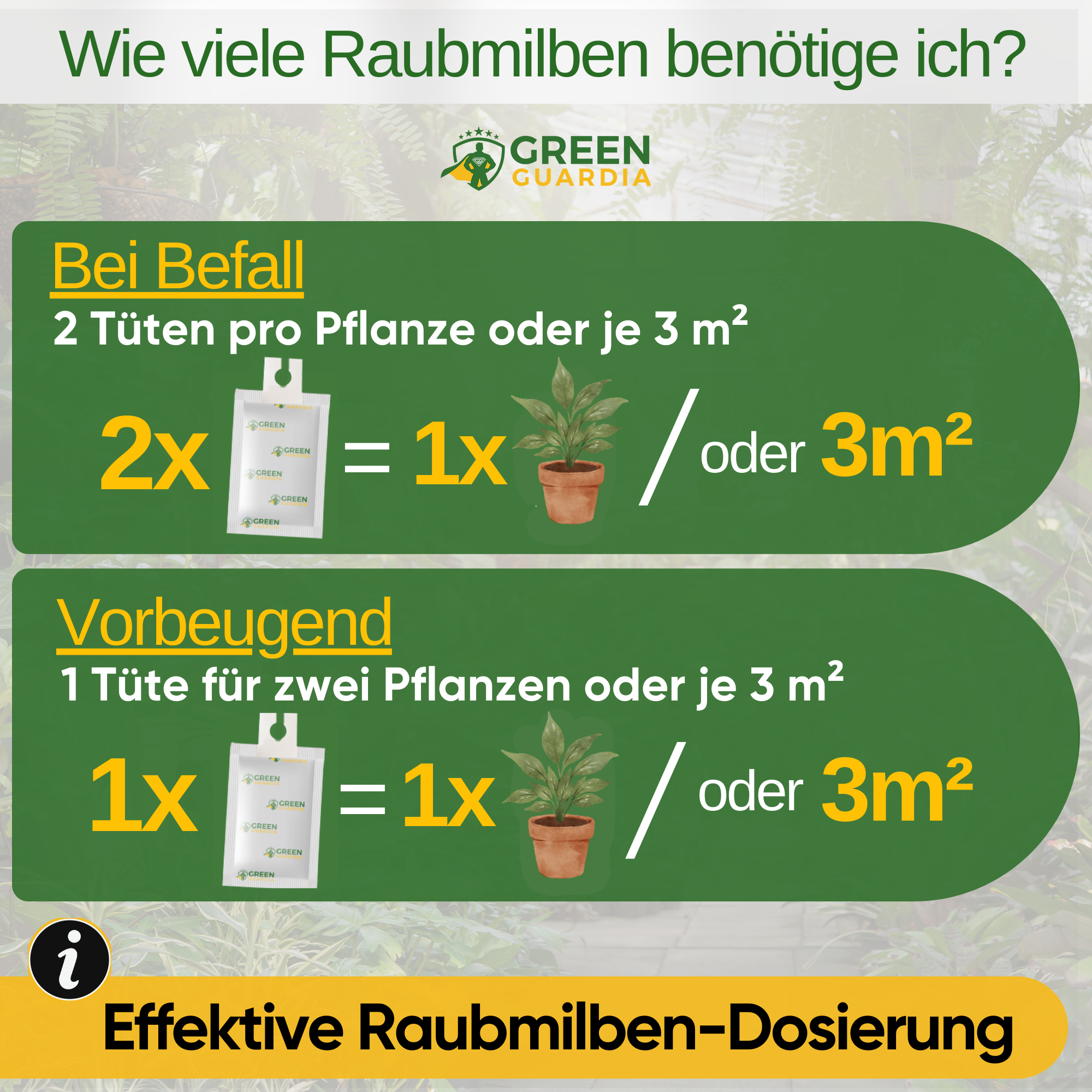 Turbo Raubmilben gegen Thripse, Spinnmilben & Weiße Fliegen