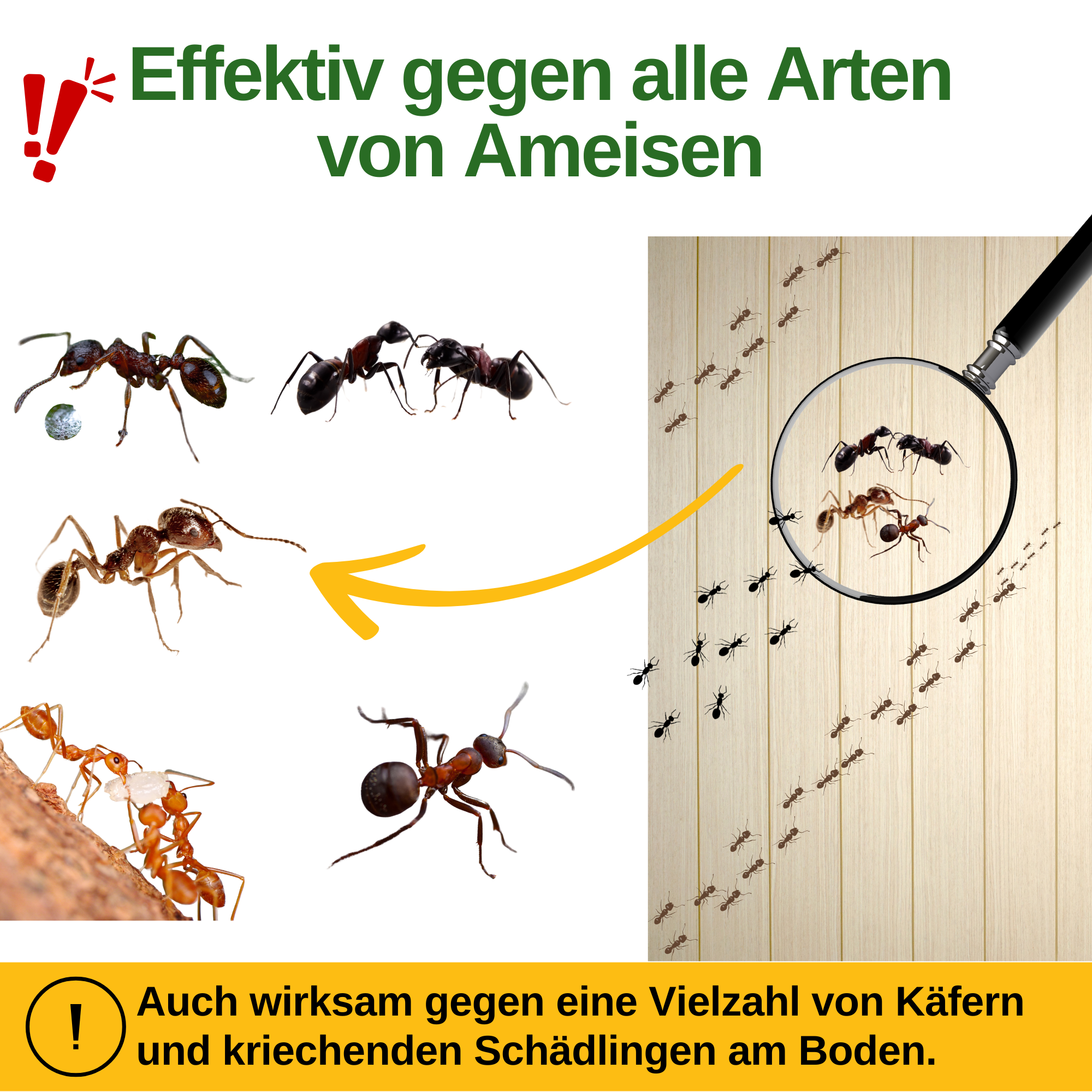 Power Neemöl gegen Ameisen
