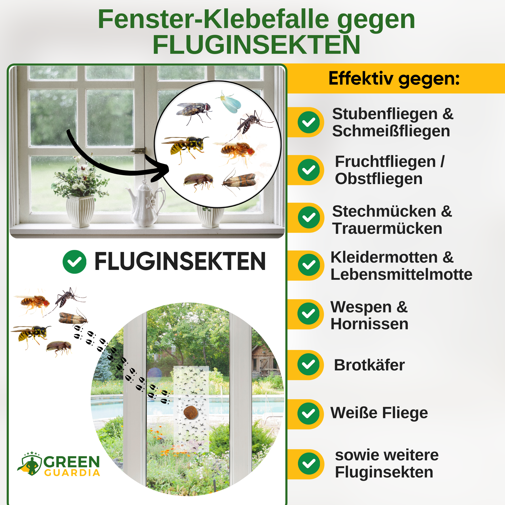 Fluginsekten Fenster-Falle mit Spezial-Lockstoff