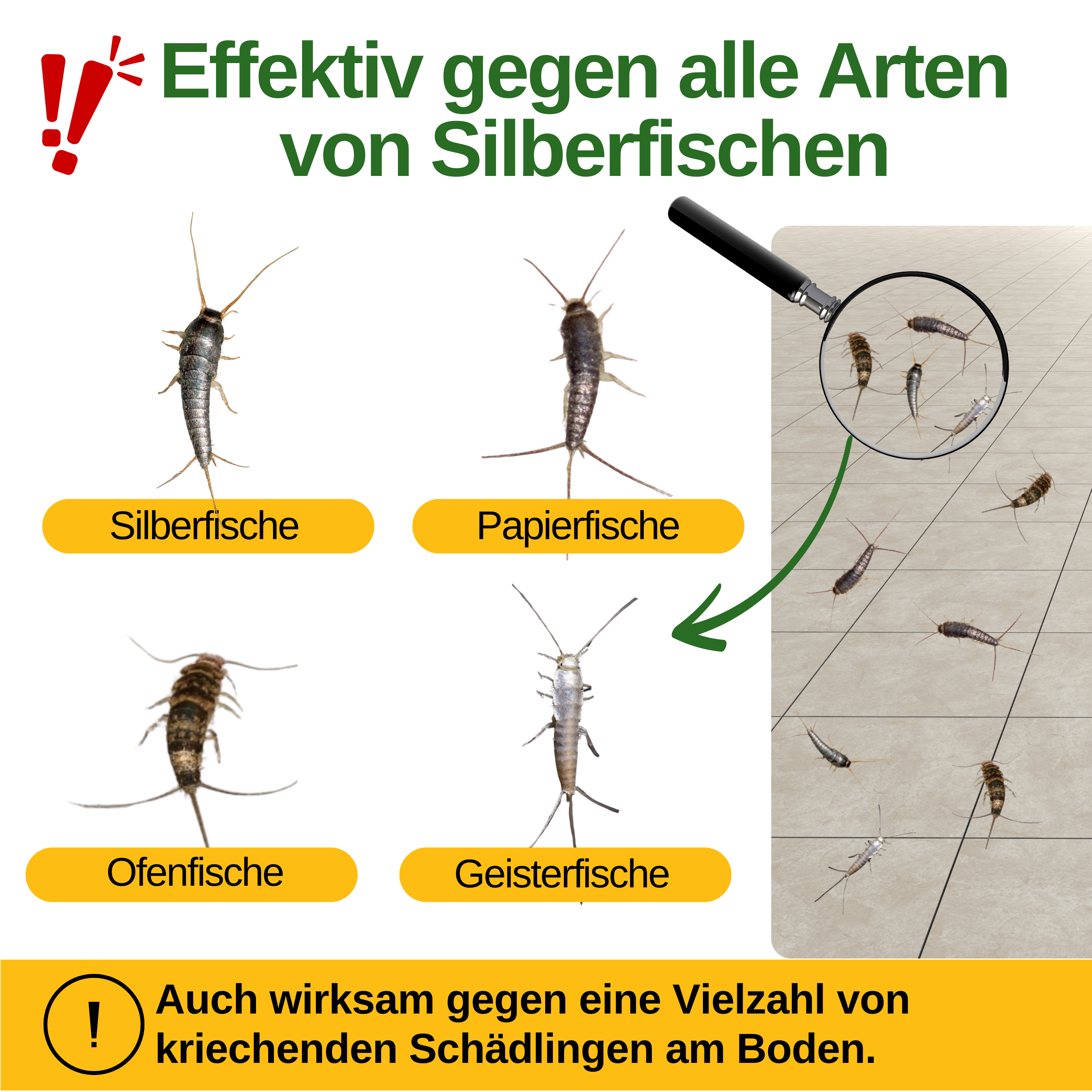 Silberfisch Falle mit Pheromon-Lockstoff