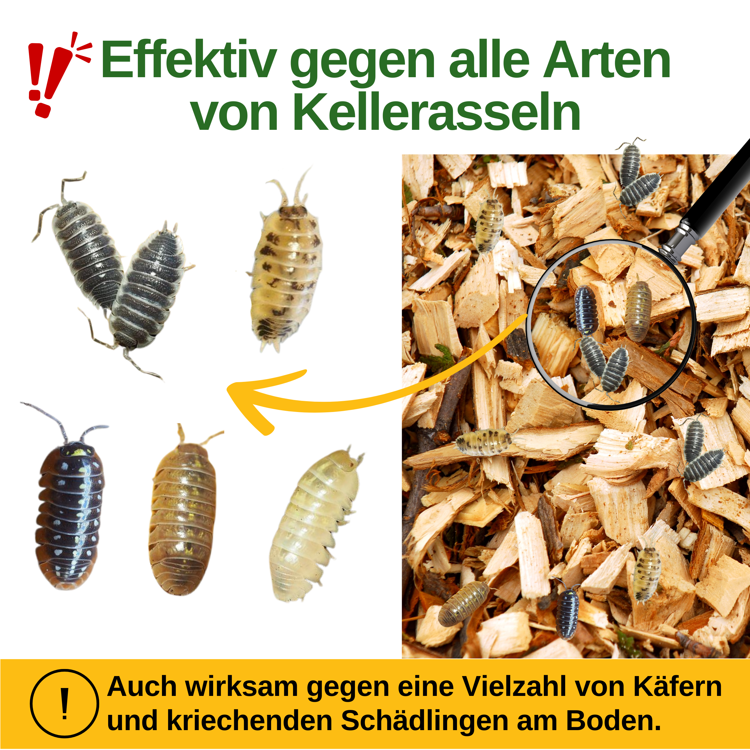 Kellerasseln Falle mit Pheromon-Lockstoff