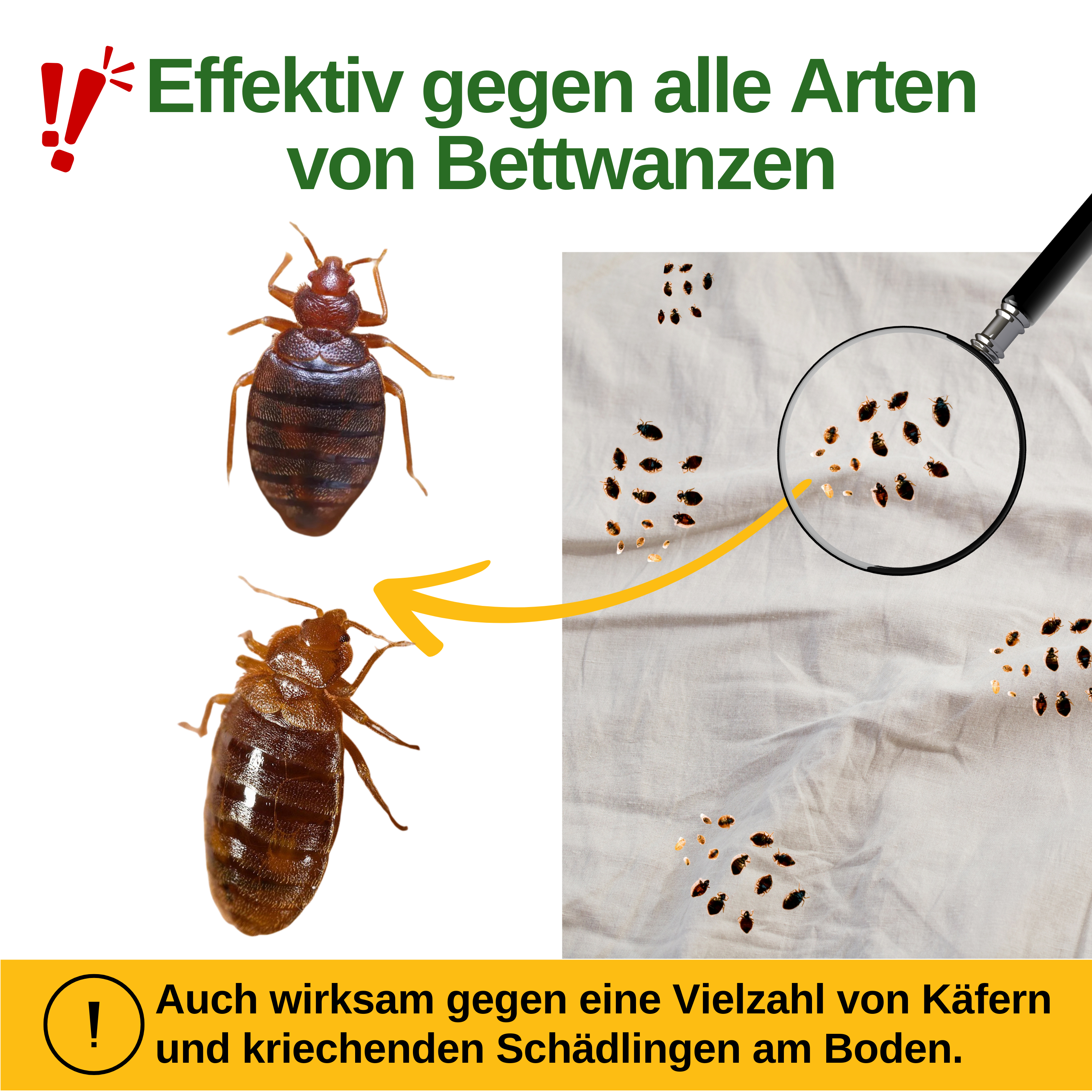 Bettwanzen Falle mit Spezial-Lockstoff