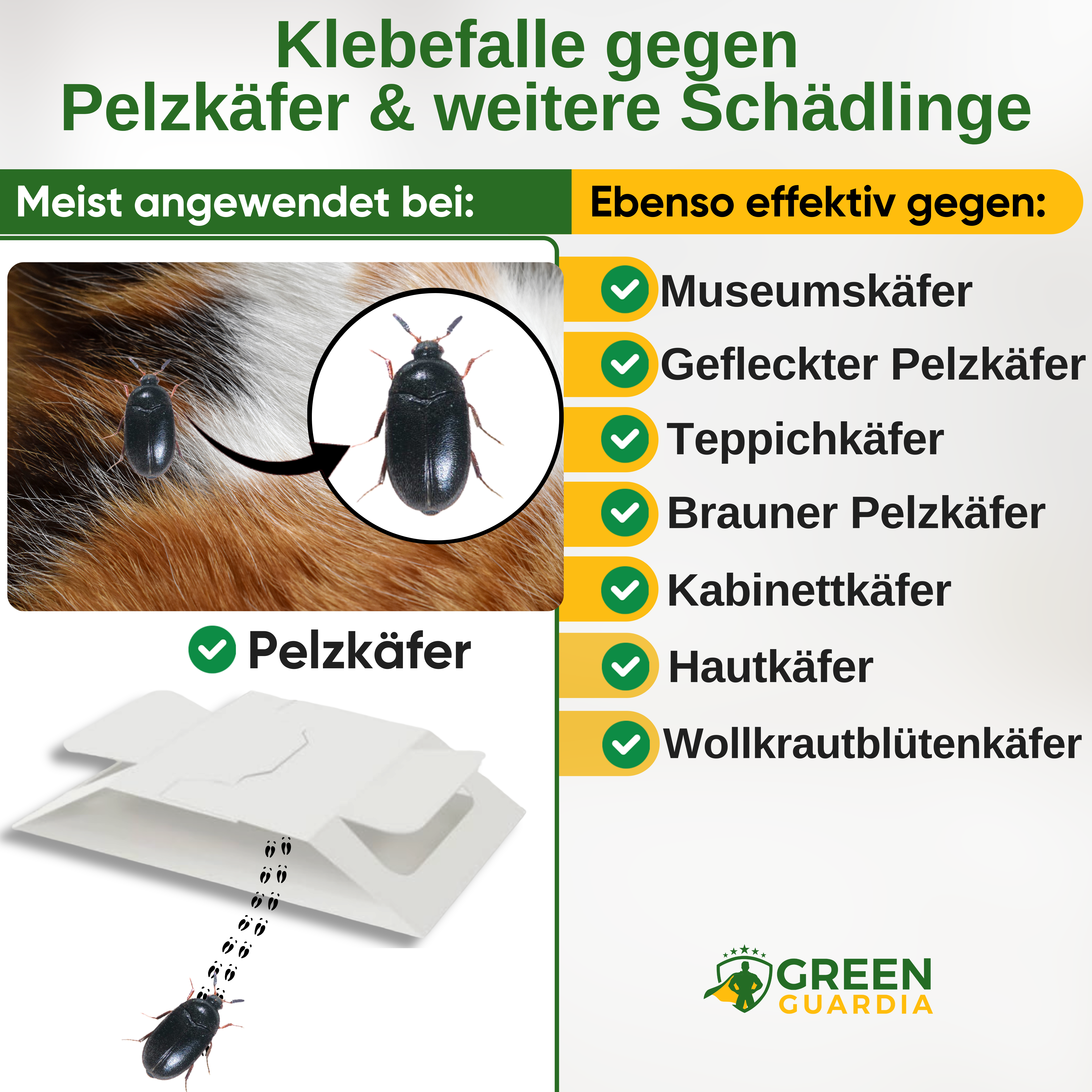 Pelzkäfer Falle mit Spezial-Lockstoff