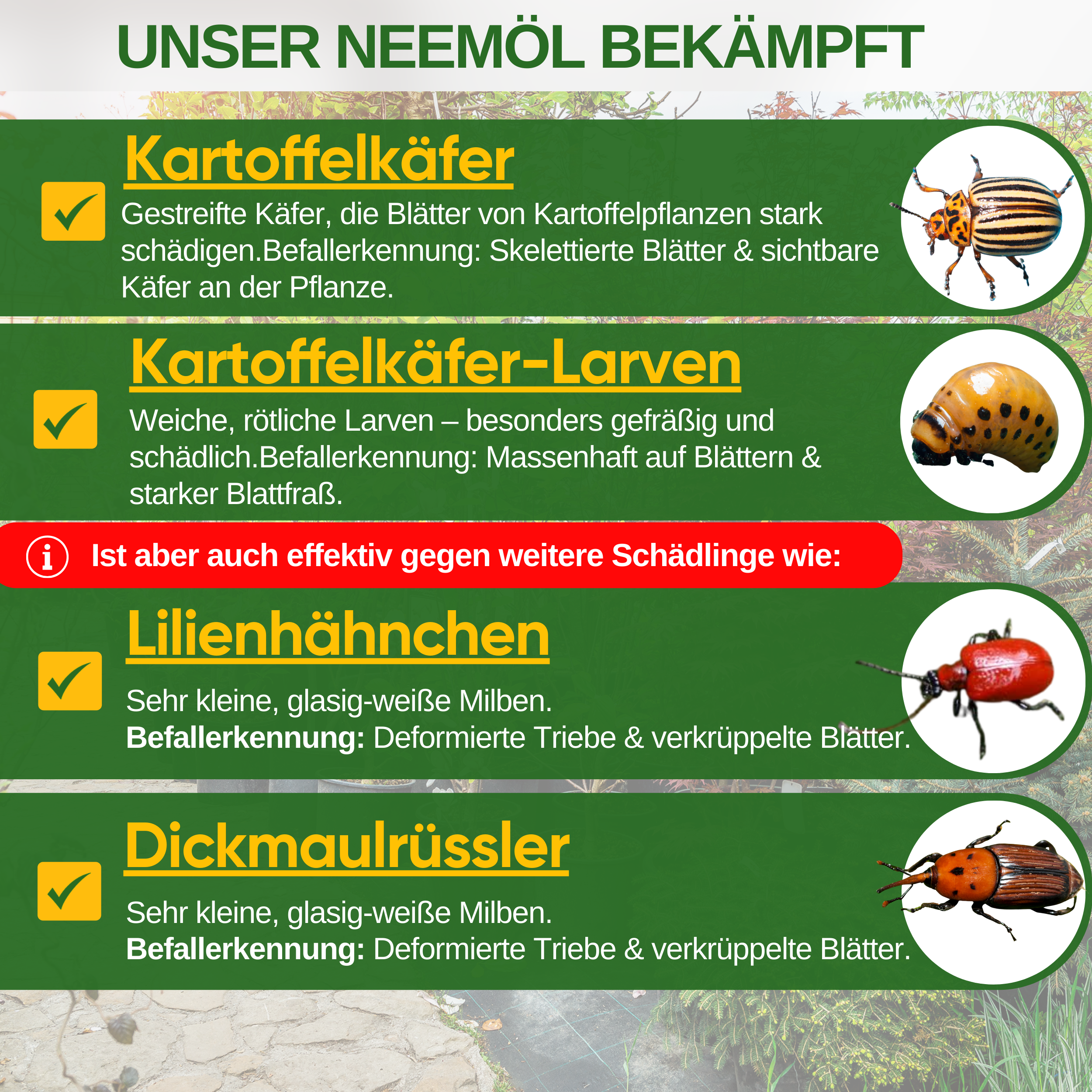Power Neem oil against Colorado potato beetles 