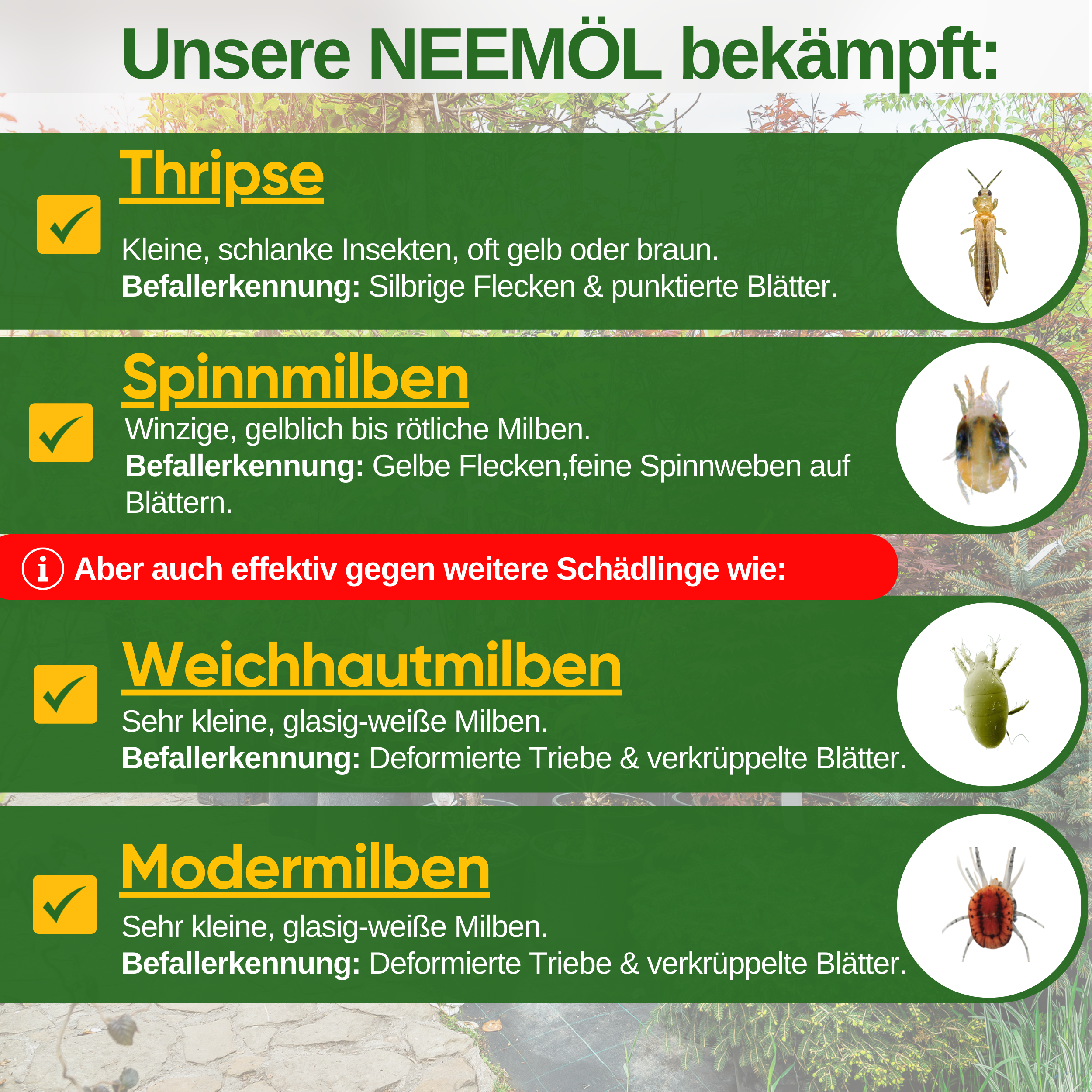 Power Neemöl gegen Thripse