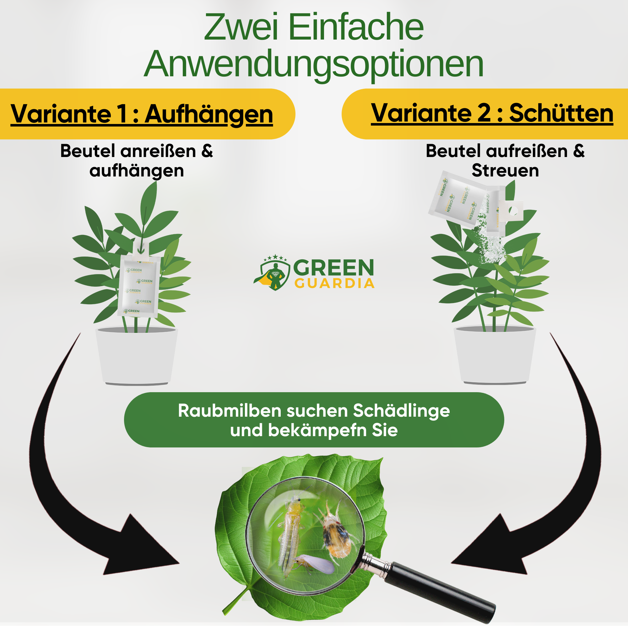 Turbo Raubmilben gegen Thripse, Spinnmilben & Weiße Fliegen