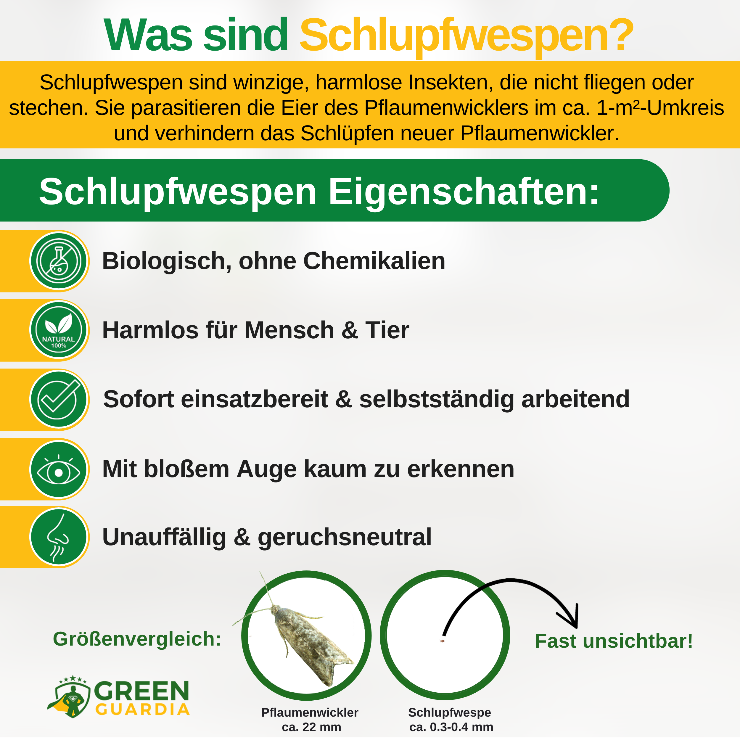 Schlupfwespen gegen Pflaumenwickler