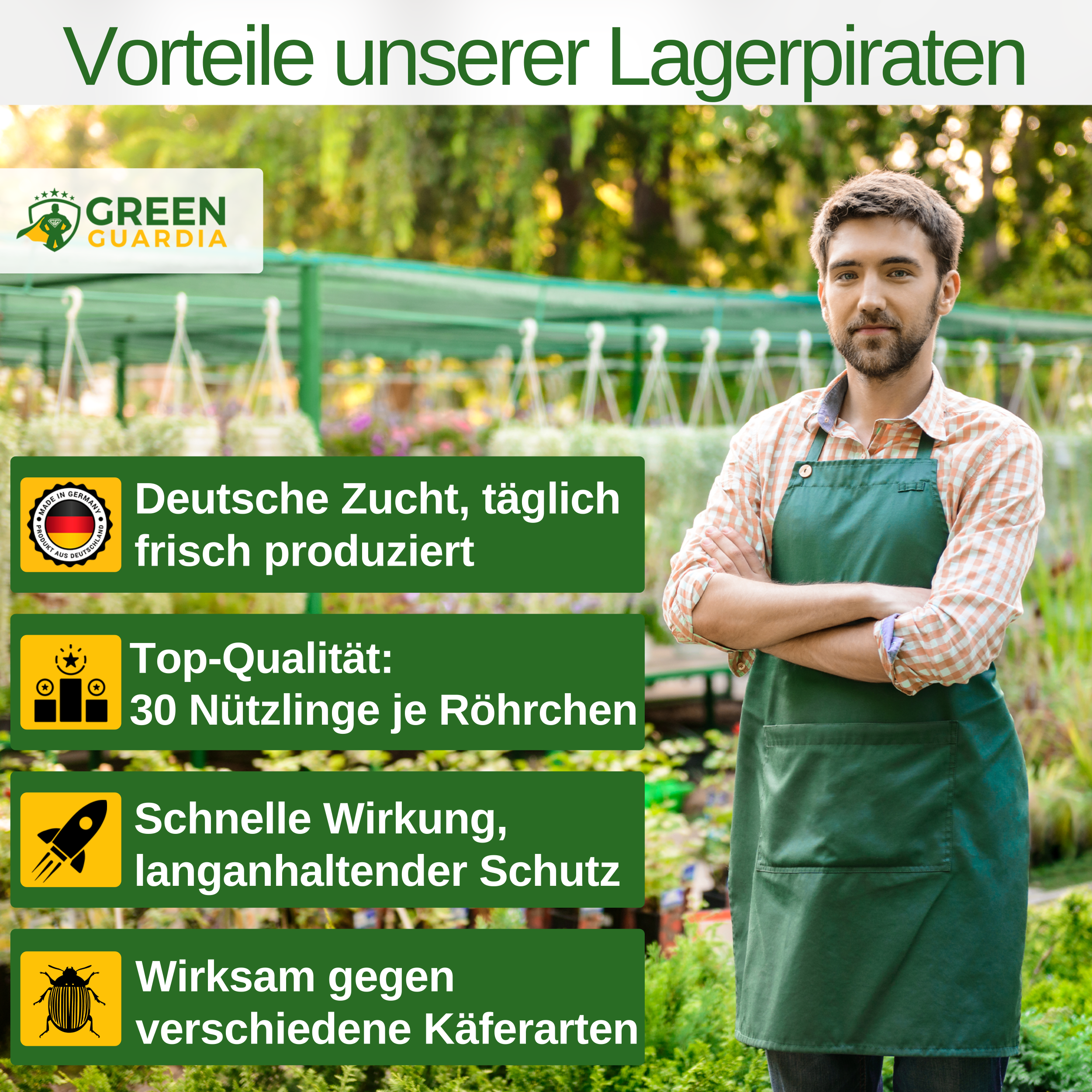 Camp pirates against larder beetles, rice flour beetles, fur beetles &amp; carpet beetles 