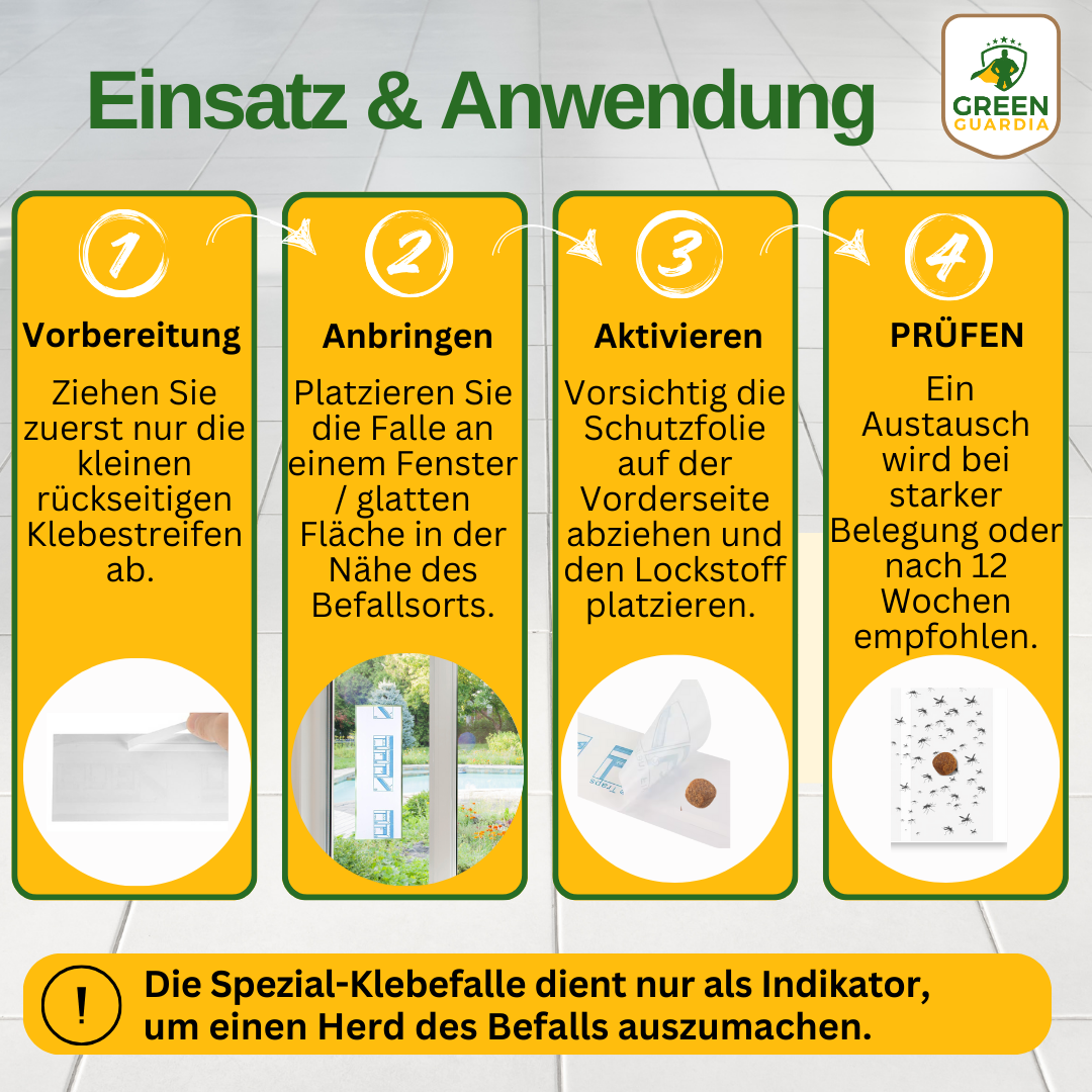 Flying insect window trap with special attractant 