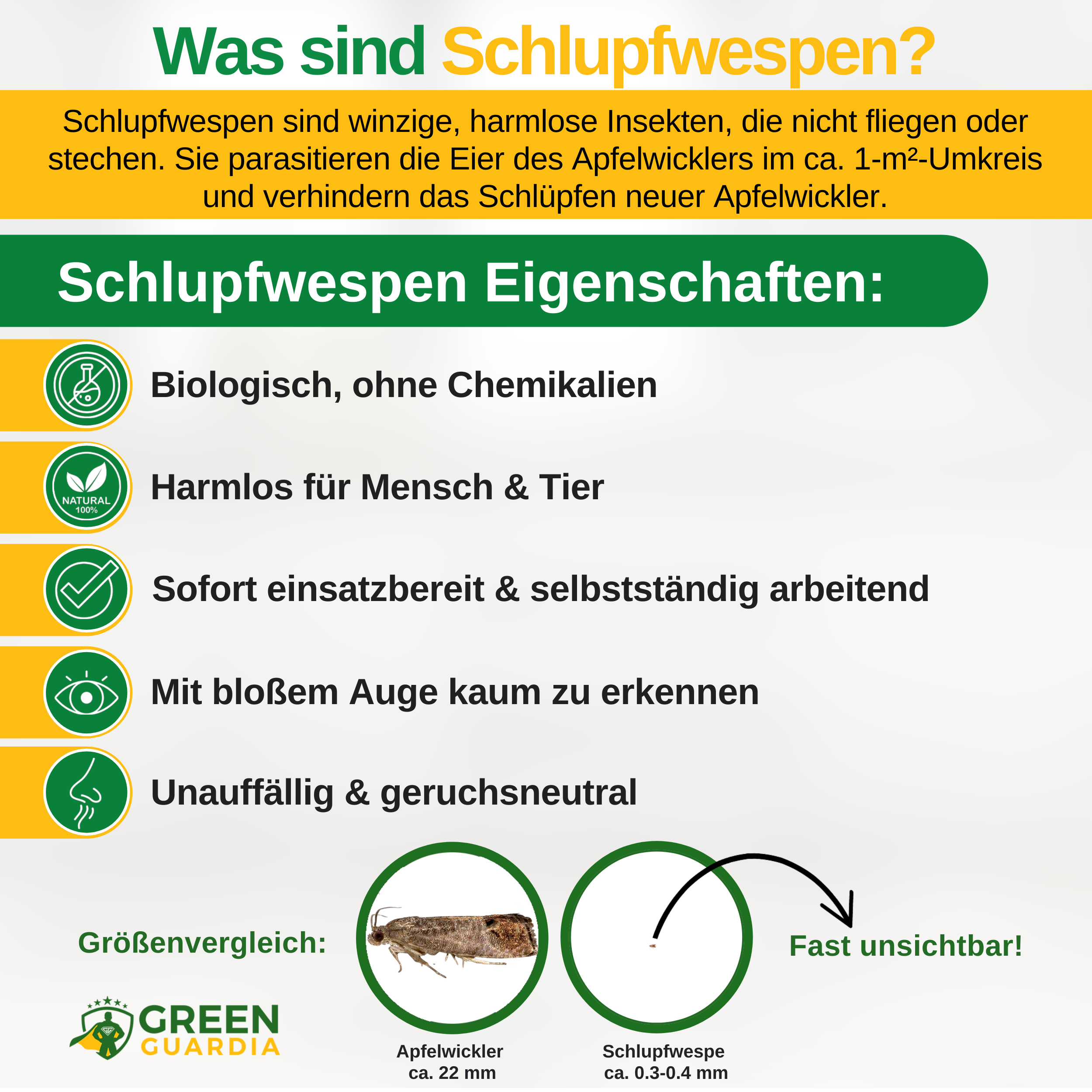 Schlupfwespen gegen Apfelwickler