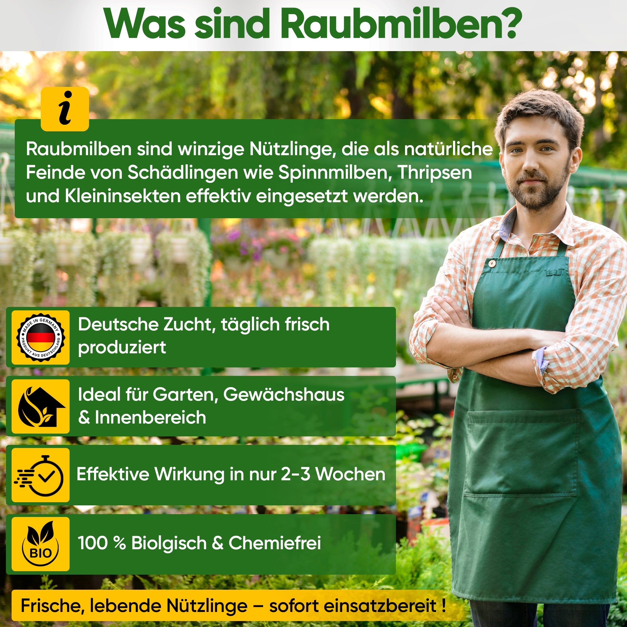 Predatory mite mix against fungus gnats &amp; red bird mites – loose product