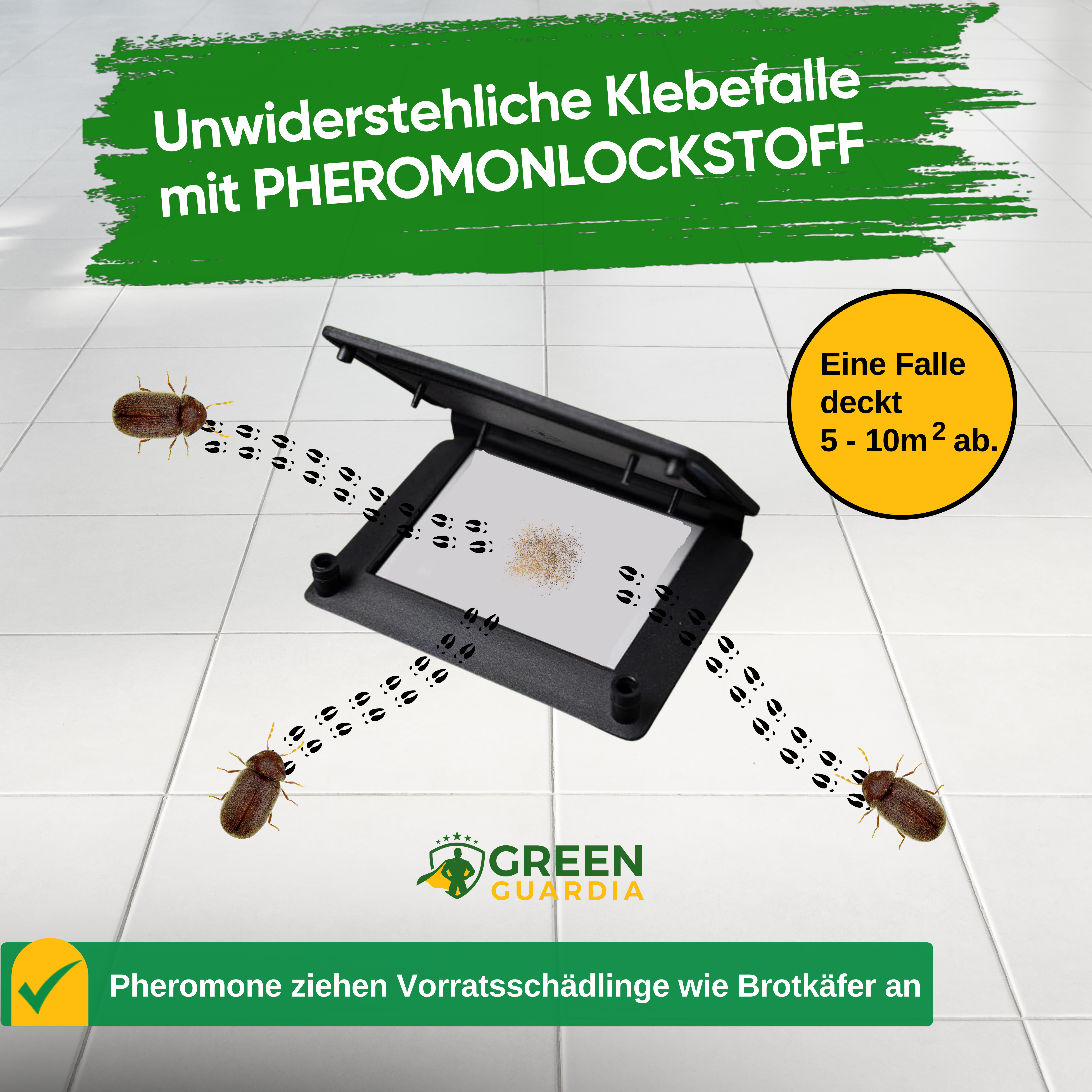 Bread beetle trap with pheromone attractant 