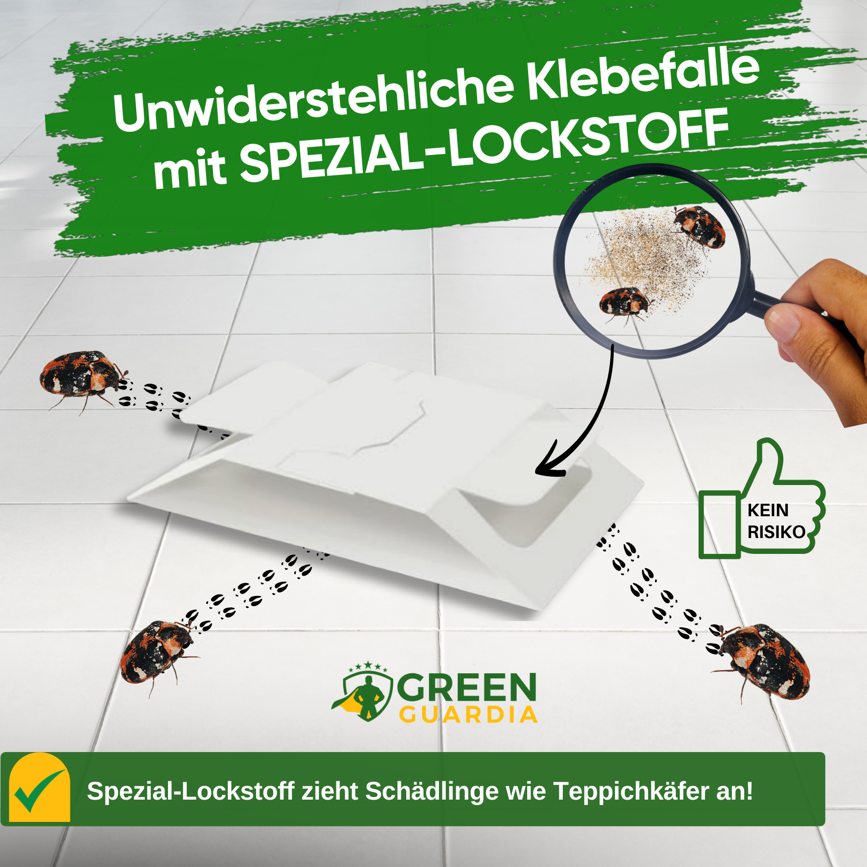 Carpet beetle trap with special attractant 