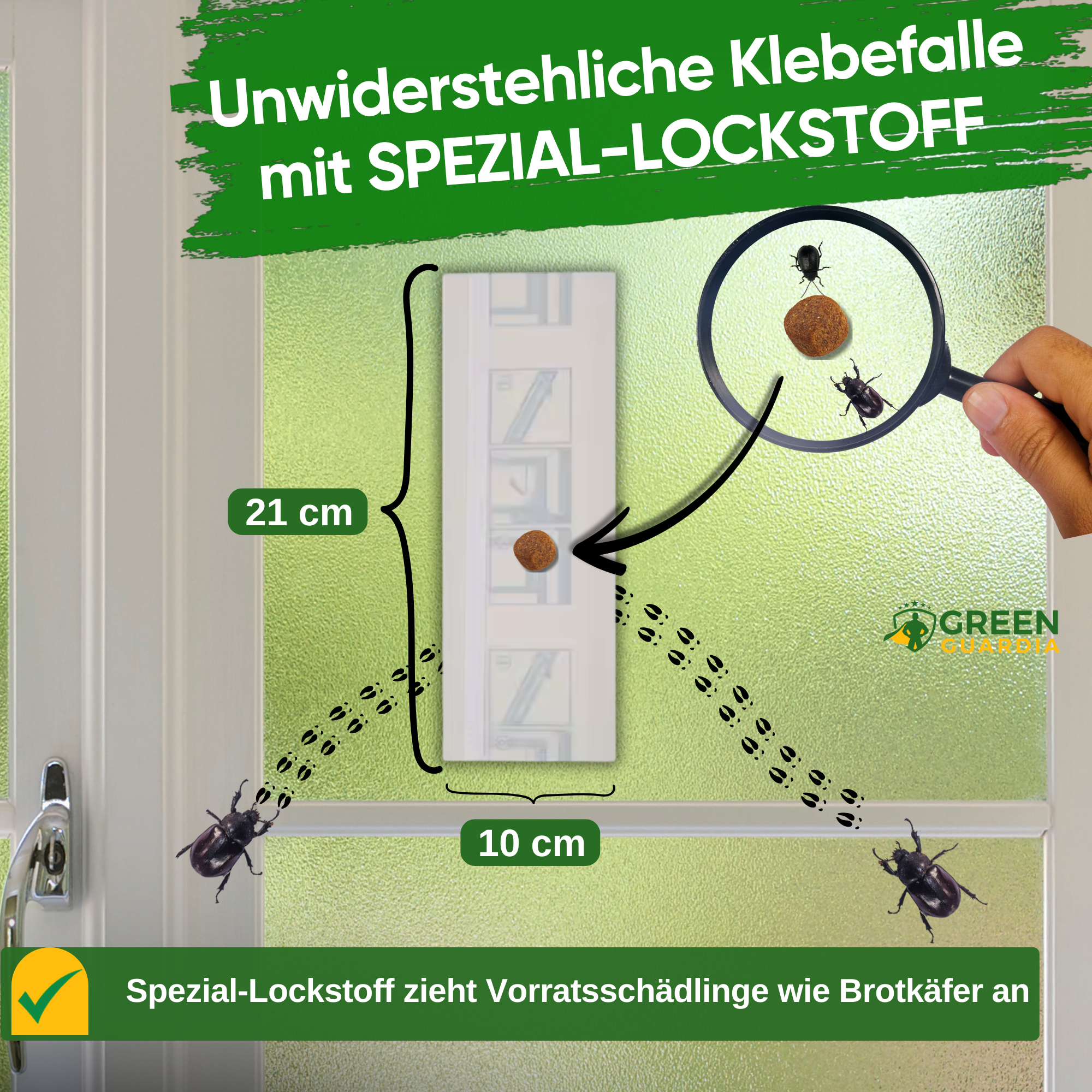 Bread beetle window trap with special attractant 