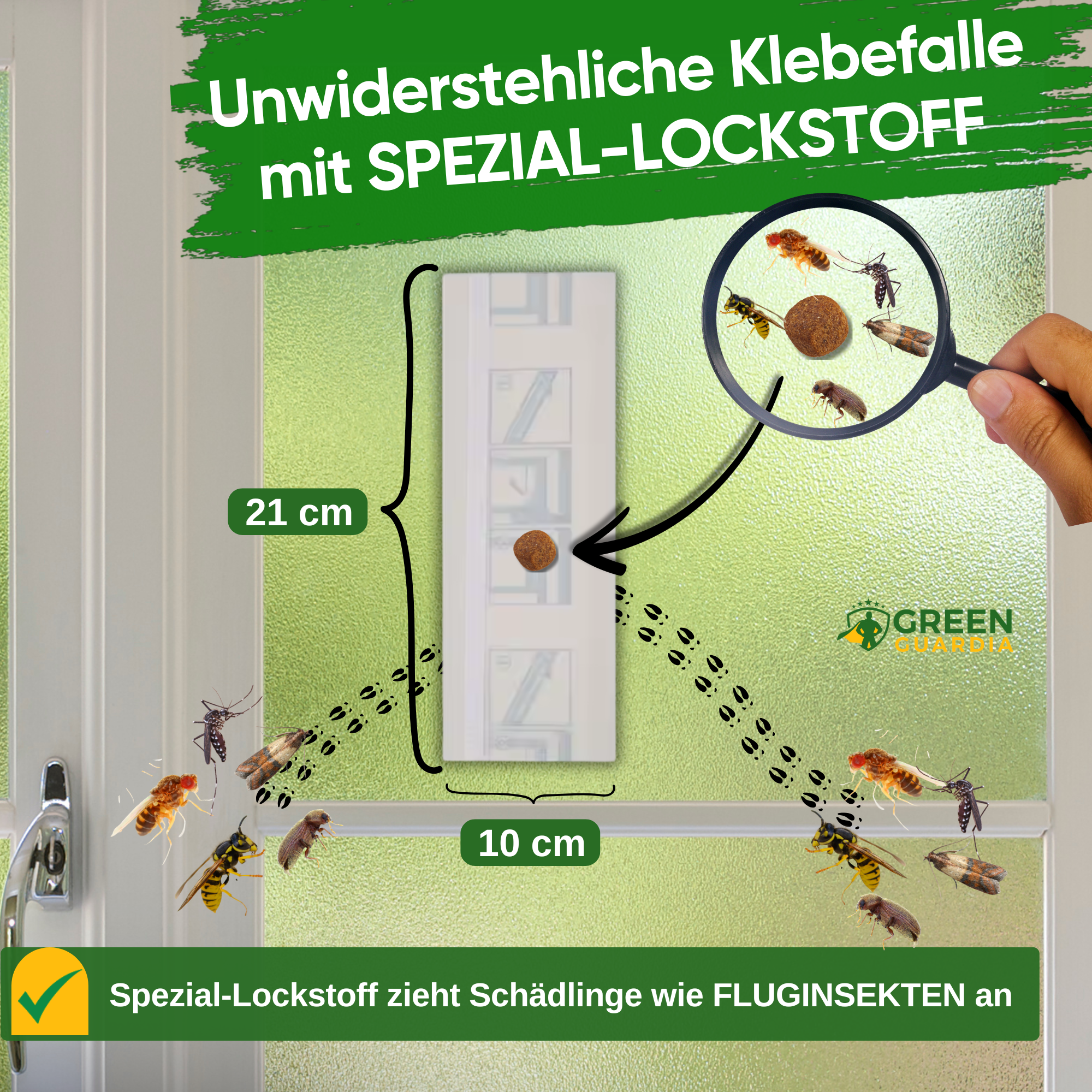 Flying insect window trap with special attractant 
