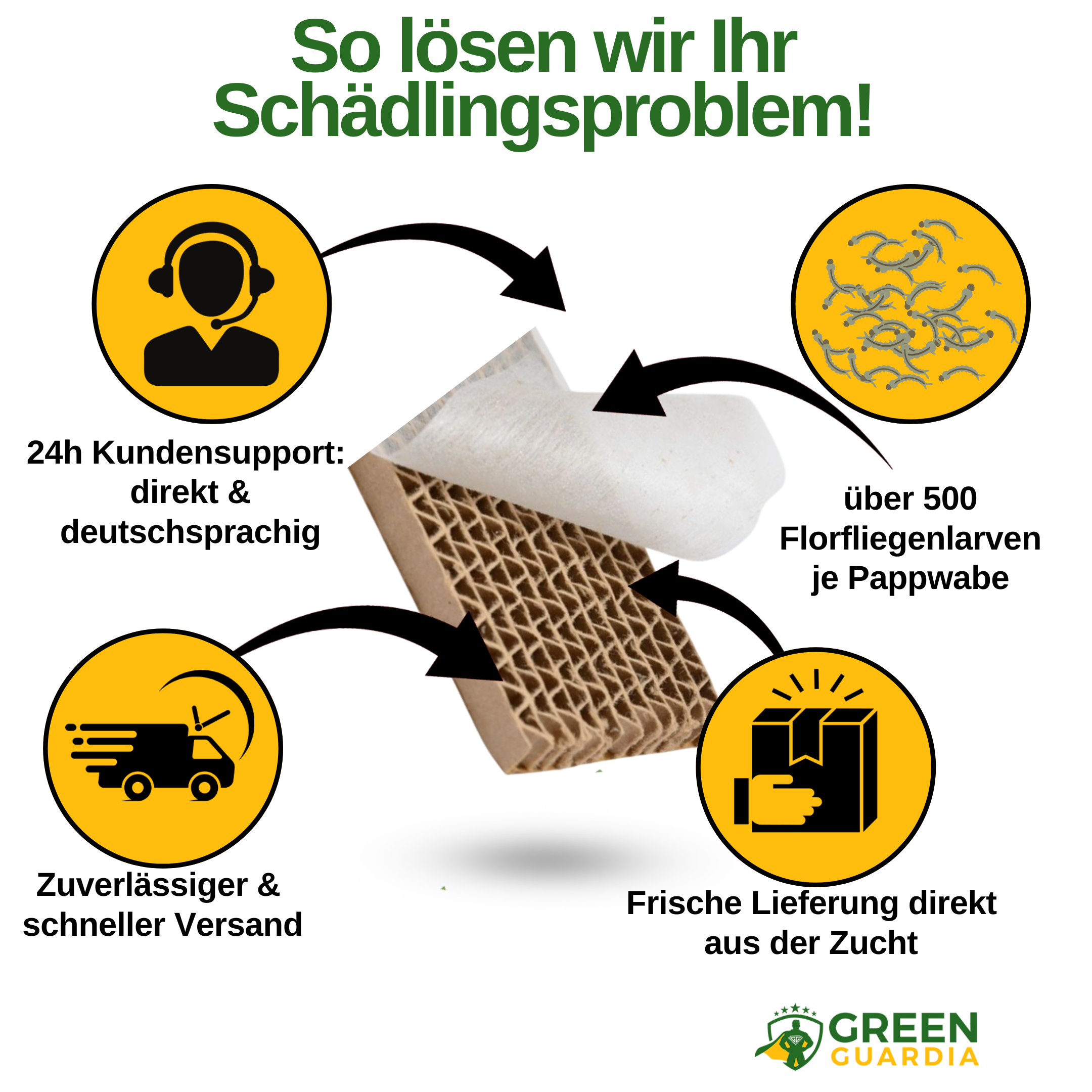 Florfliegenlarven gegen Blattläuse und Wollläuse