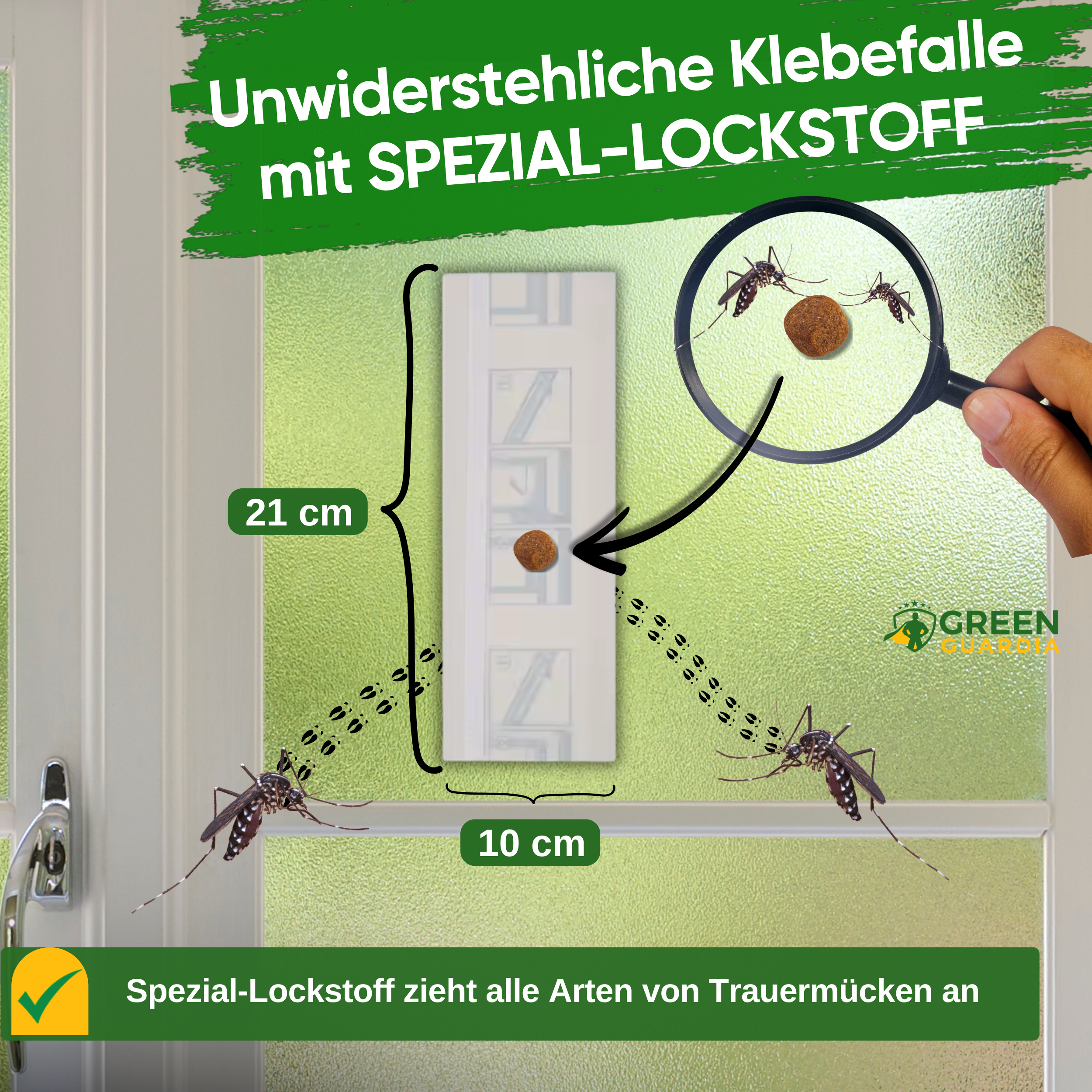 Fungus gnat window trap with special attractant 