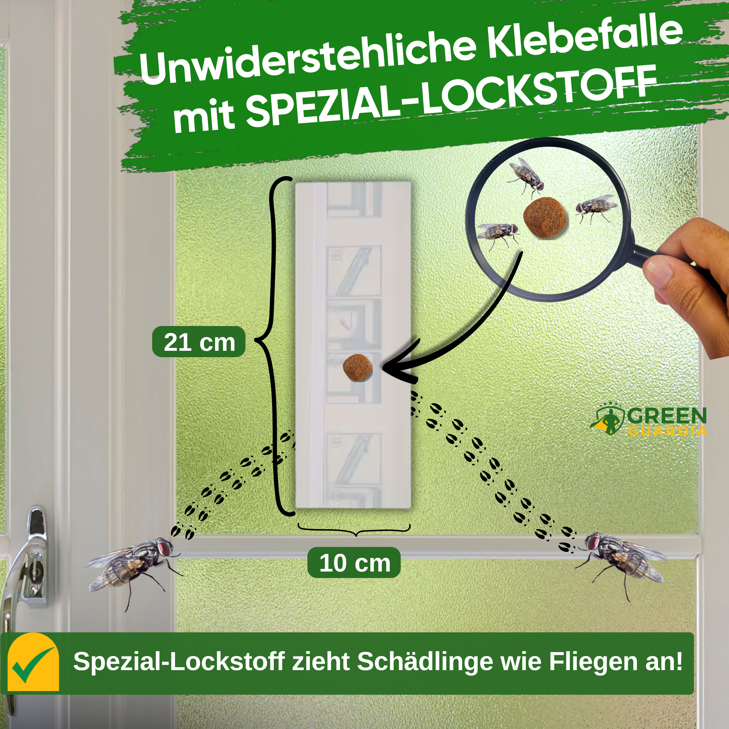 Fly window trap with special attractant 