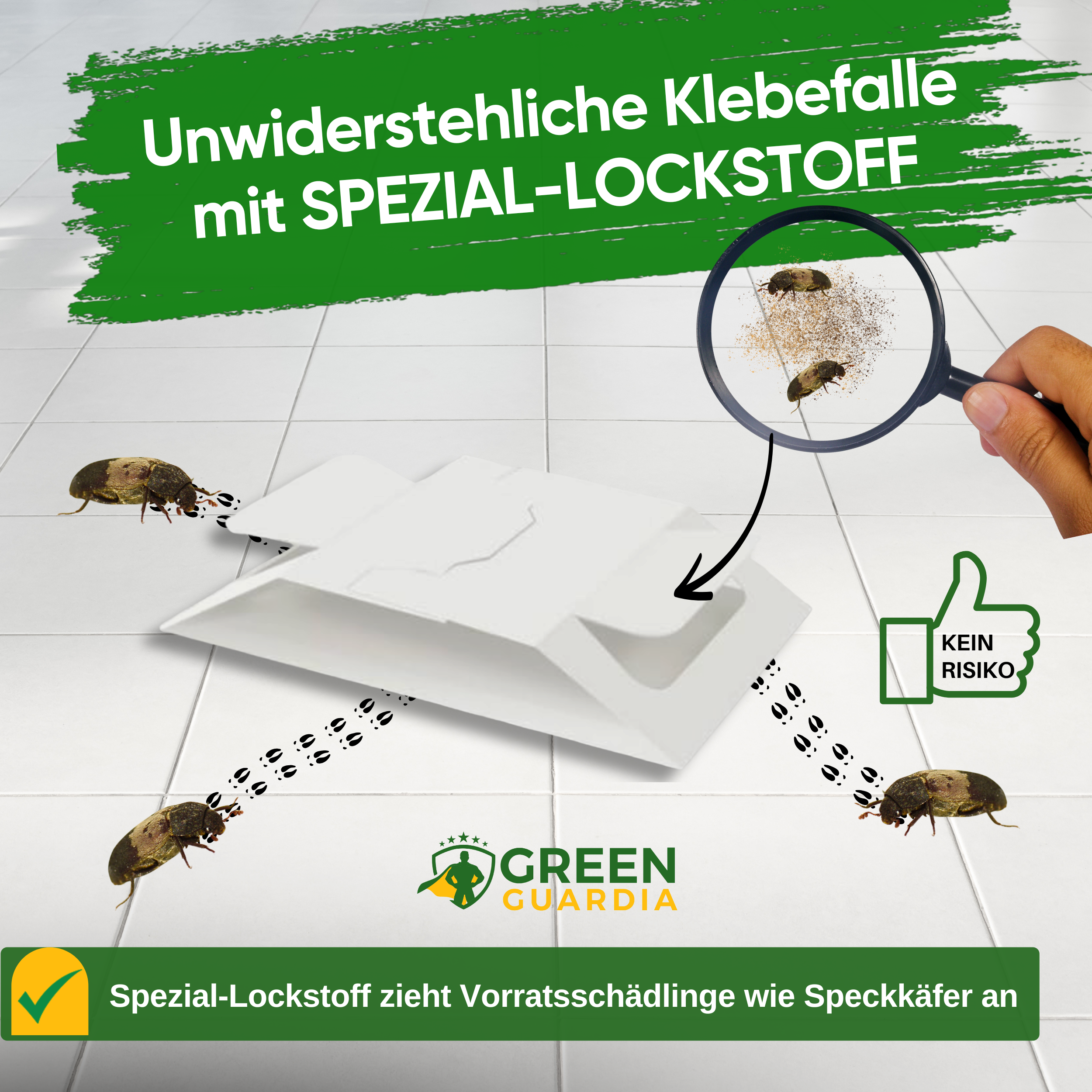 Larder beetle trap with special attractant 