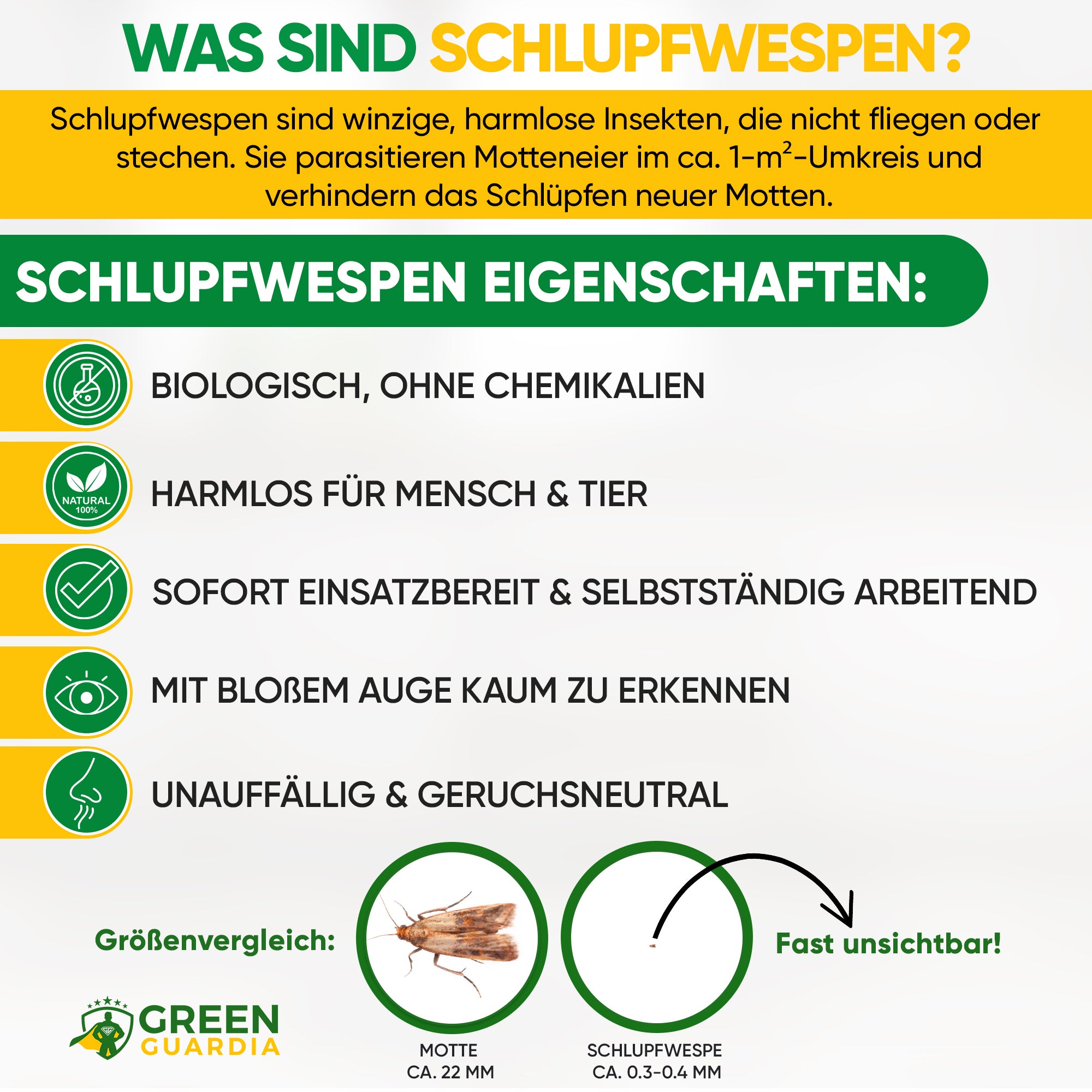 Schlupfwespen gegen Lebensmittelmotten