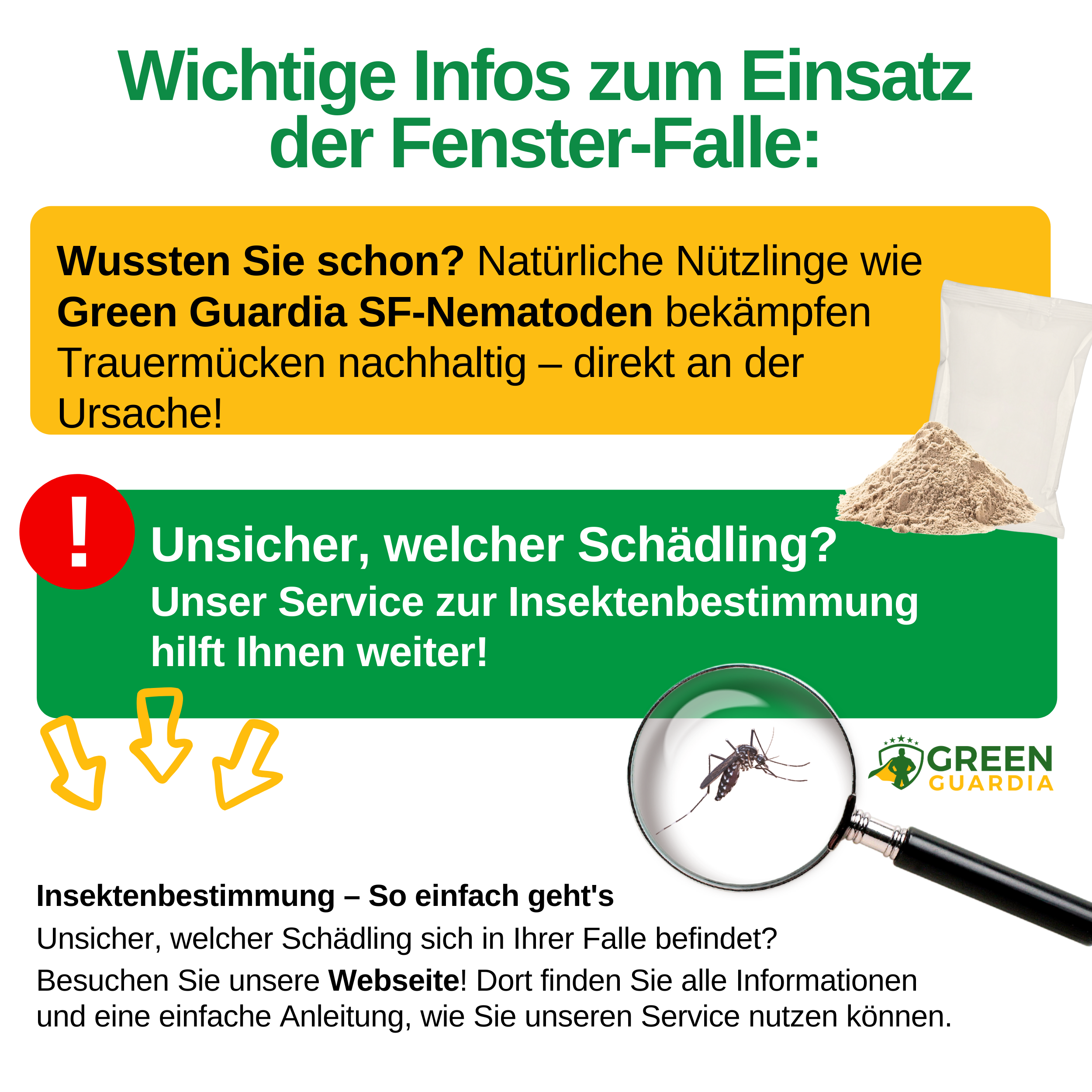 Fungus gnat window trap with special attractant 