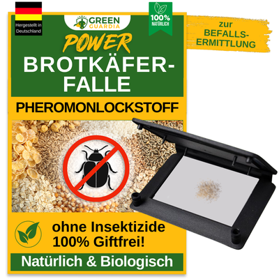 Bread beetle trap with pheromone attractant 