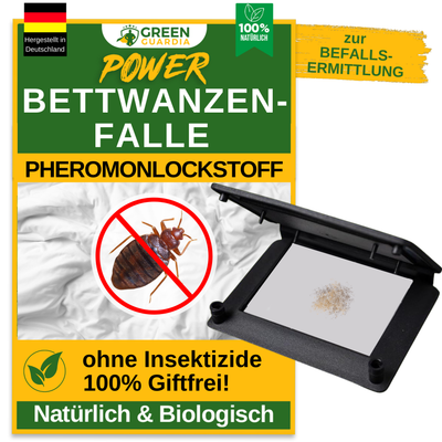 Bed bug trap with pheromone attractant 