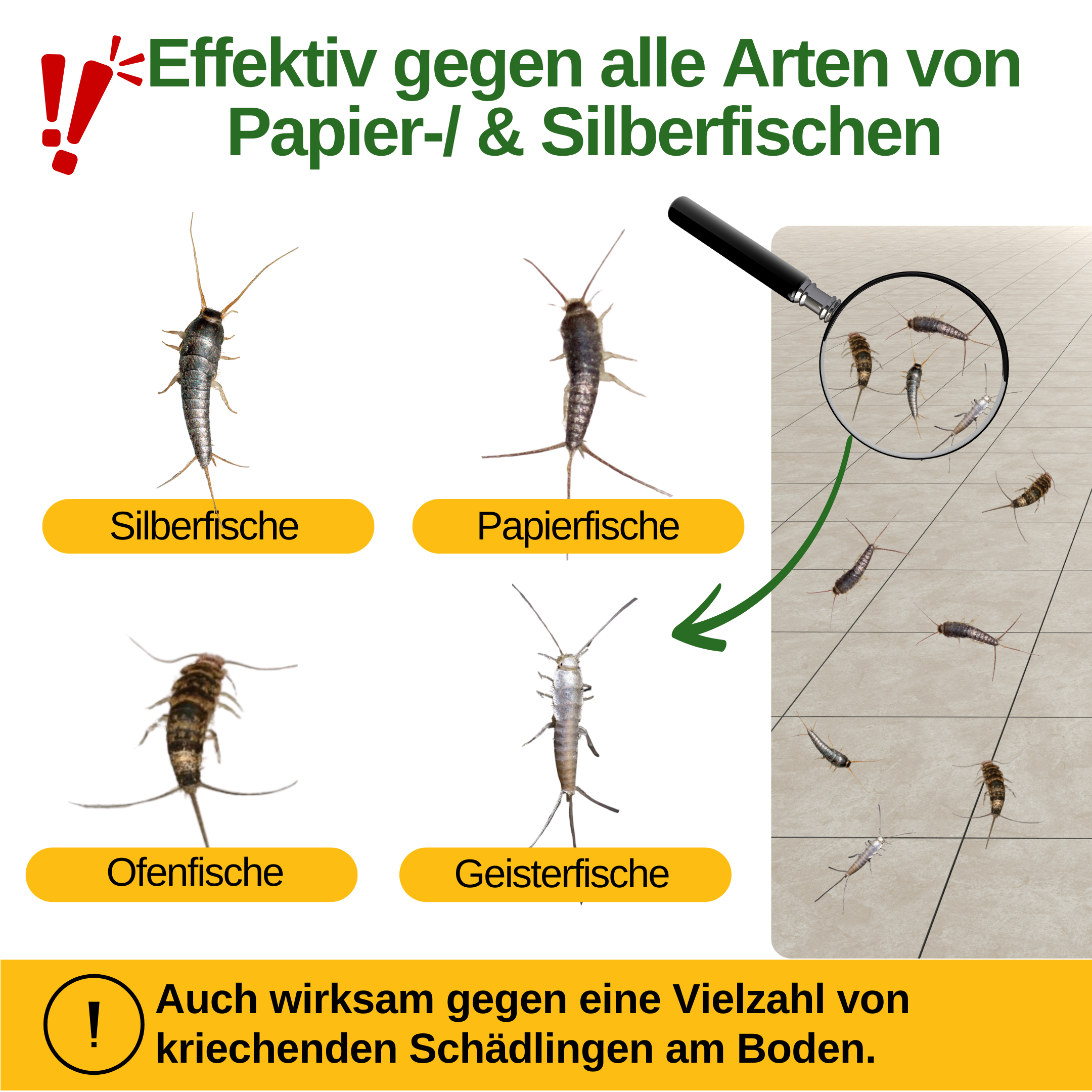 Papierfisch Falle mit Pheromon-Lockstoff